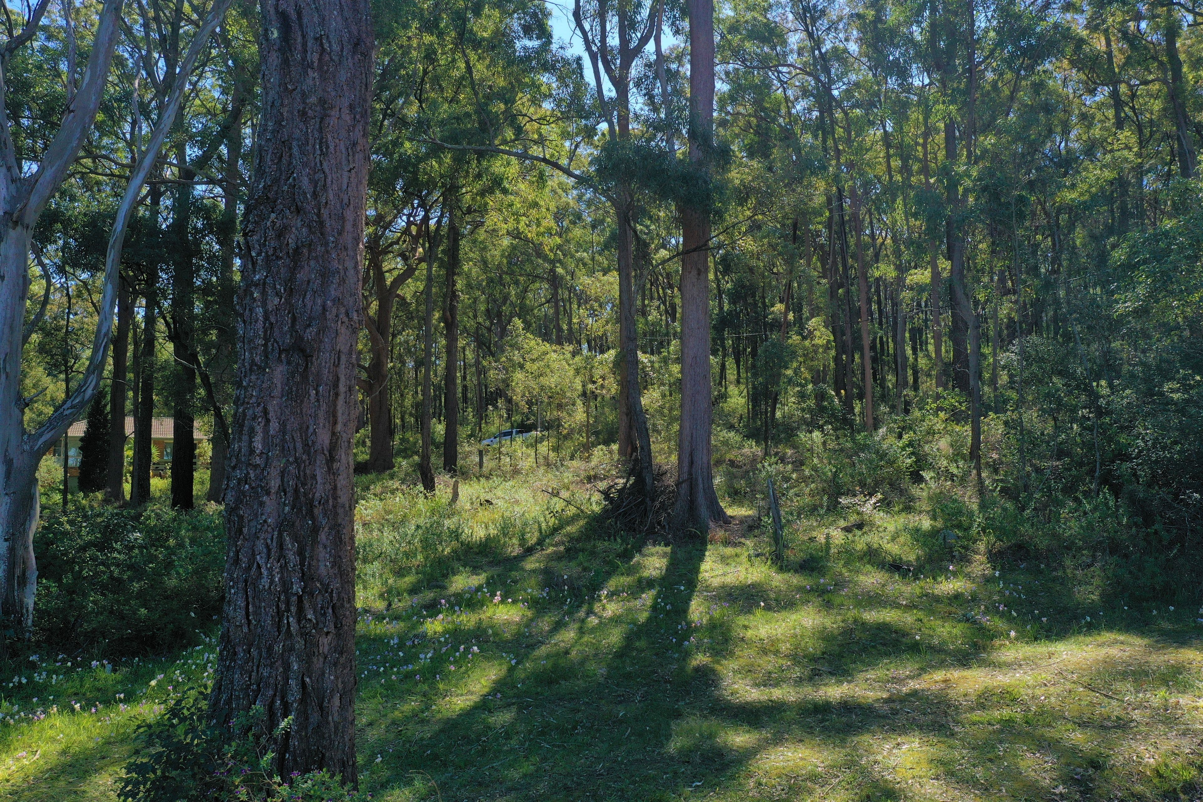 10 Blake Street, Carrington NSW 2324, Carrington - Thumbnail 4