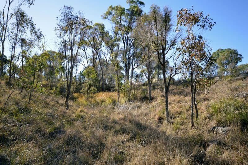 0 BOURNES Road, Yangan QLD 4371, Yangan - Thumbnail 5