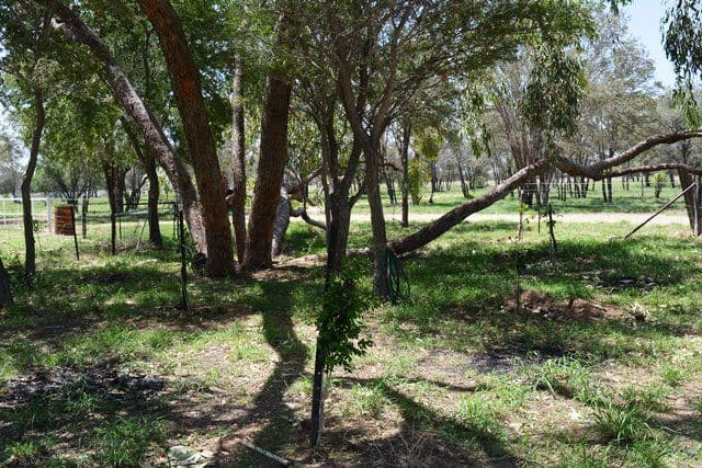 Lot 3 Frames Lane, Blackall QLD 4472, Blackall - Thumbnail 8