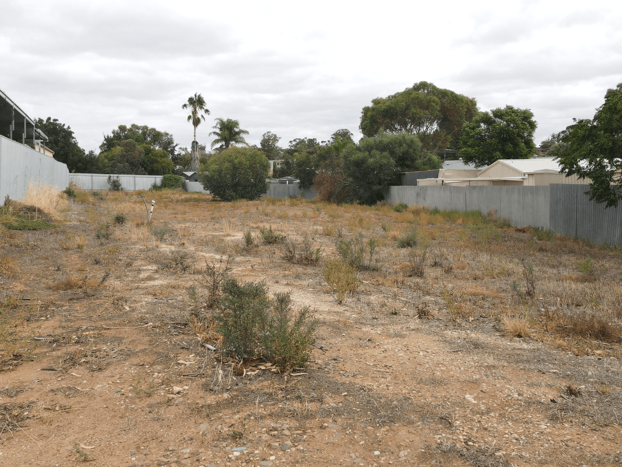 19 Philip Street, Mannum SA 5238, Mannum - Thumbnail 4
