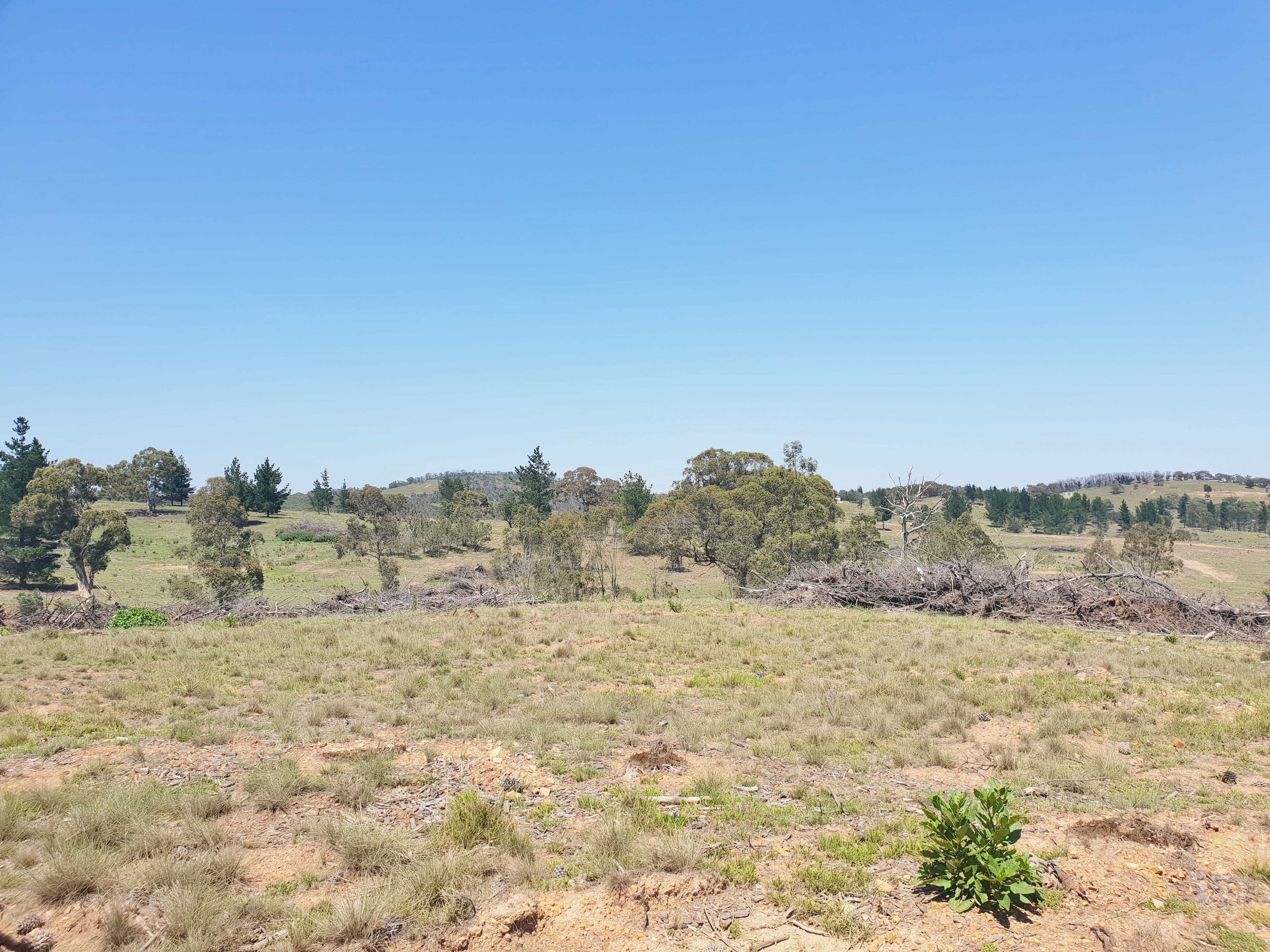 Lot 2 Mount Fairy Road, Mount Fairy NSW 2580, Mount Fairy - Thumbnail 8
