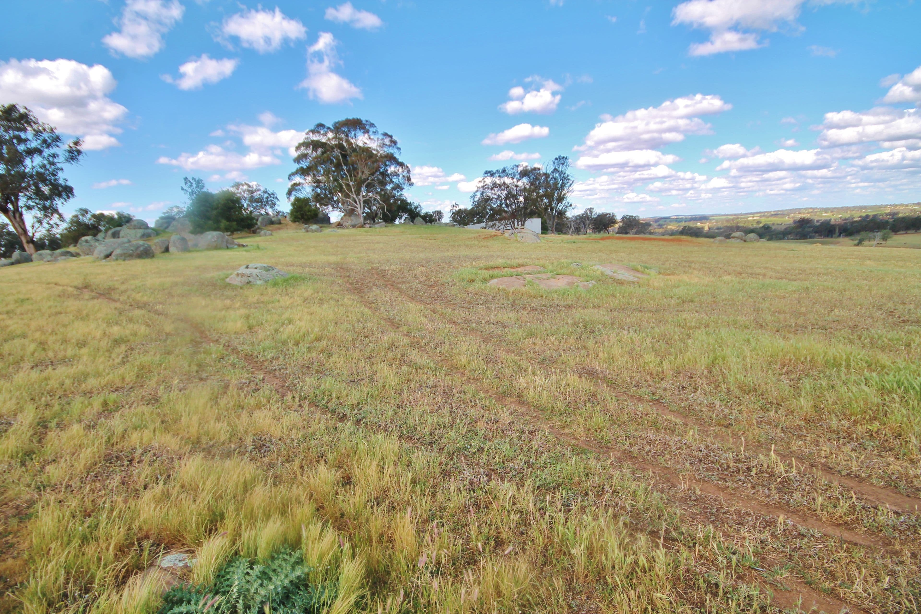 495 Spring Creek Road, Young NSW 2594, Young - Thumbnail 4