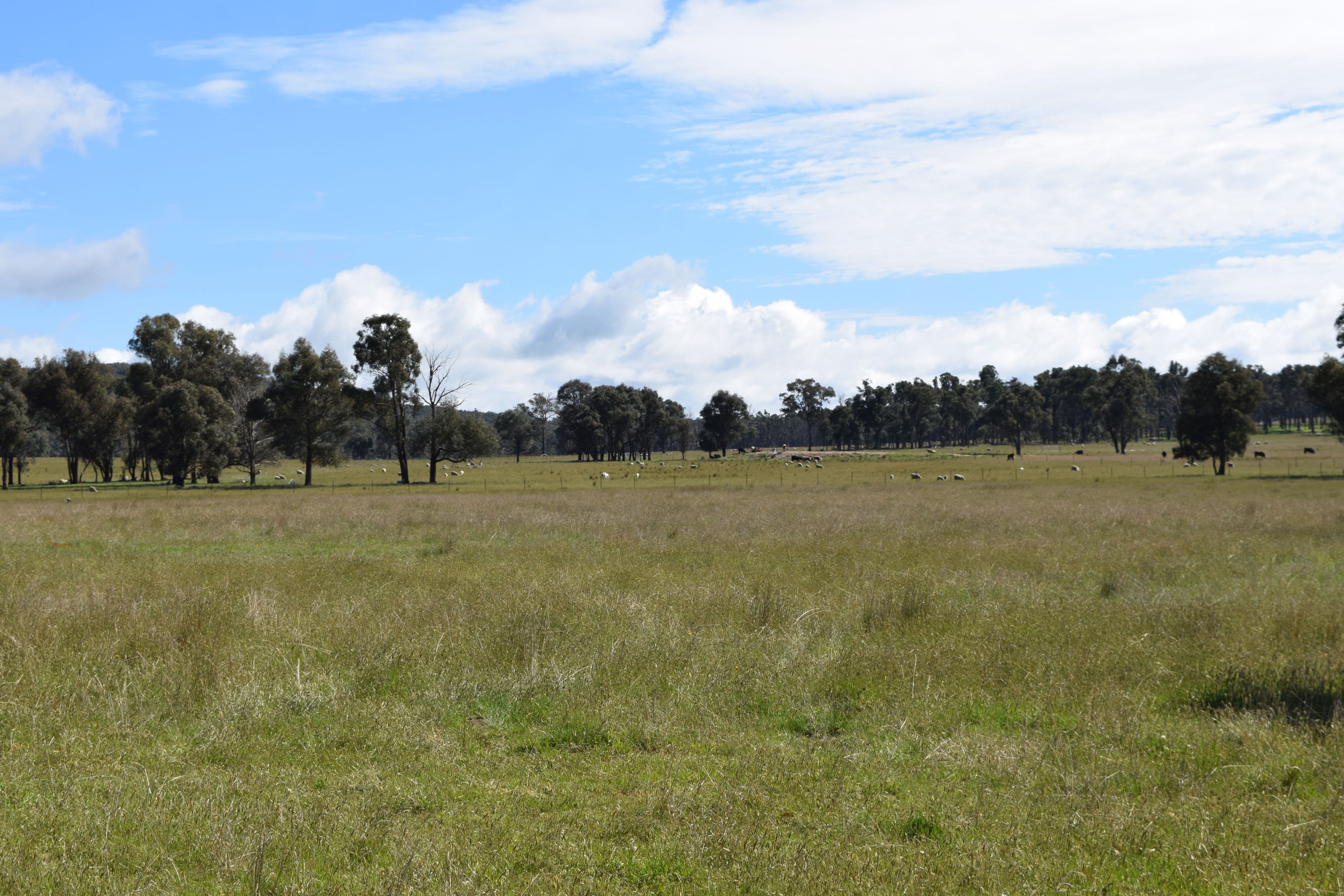 Glenfield Nth 305 Loxton Road, Wandsworth NSW 2365, Wandsworth - Thumbnail 8