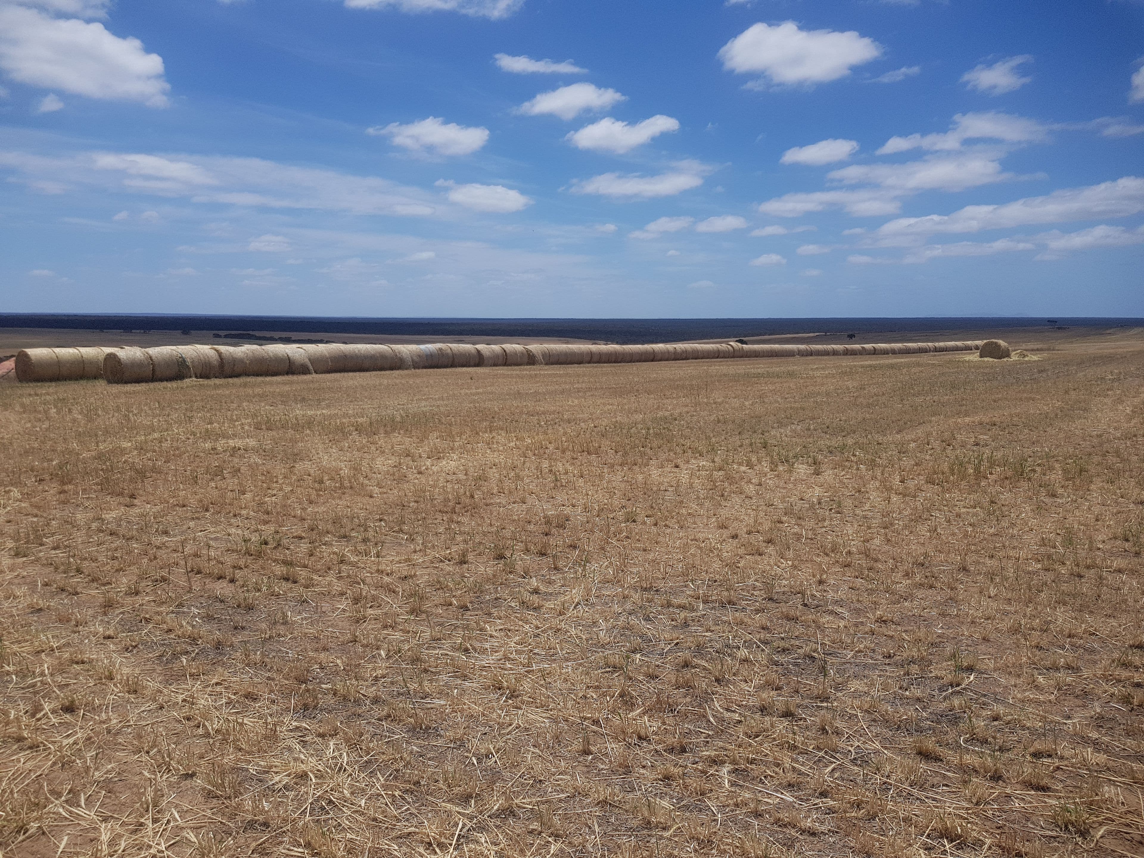 2175 Devils Creek Road, Gairdner WA 6337, Gairdner - Thumbnail 8
