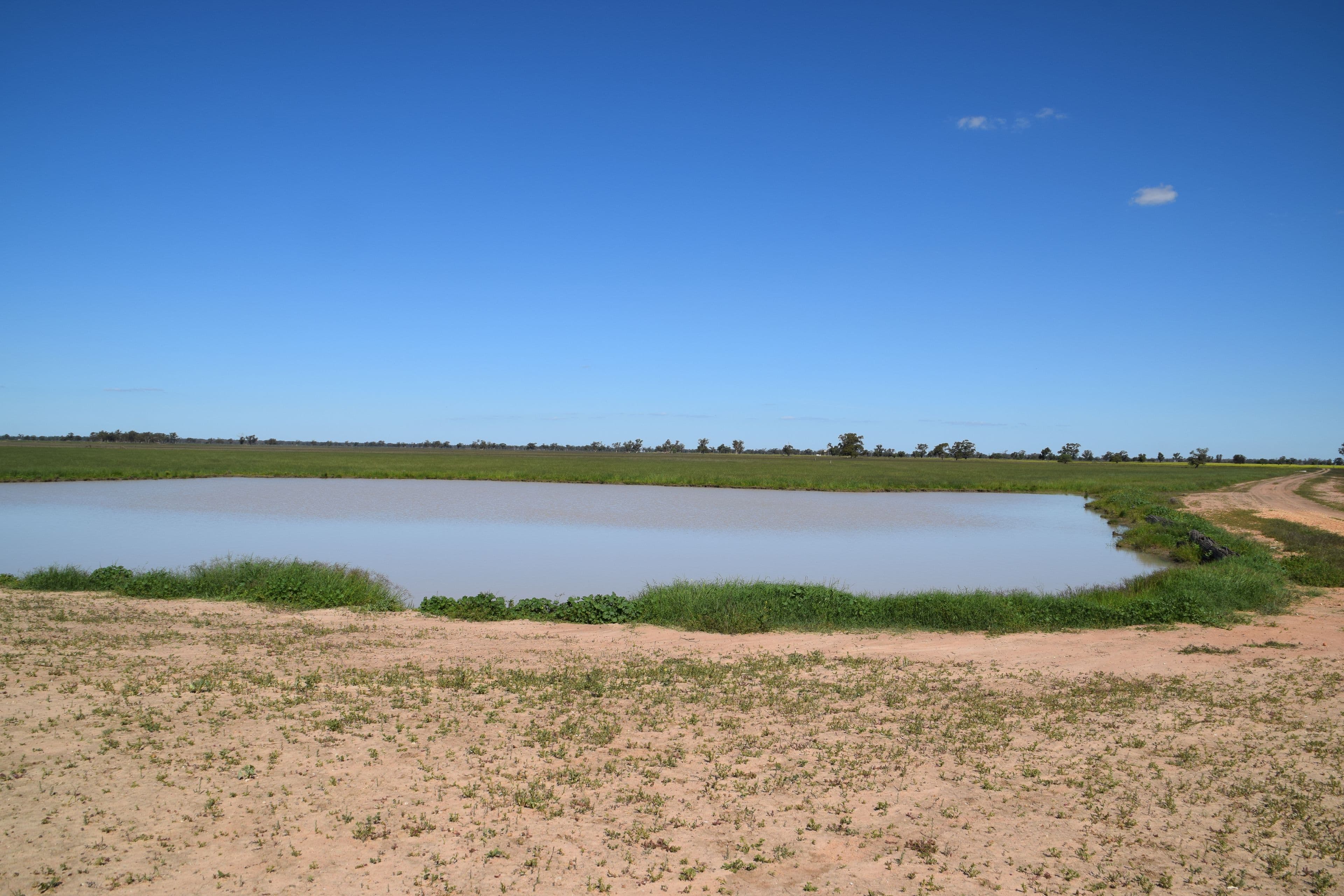'Fairview' 339 Wyuna Road, Curban NSW 2827, Curban - Thumbnail 2