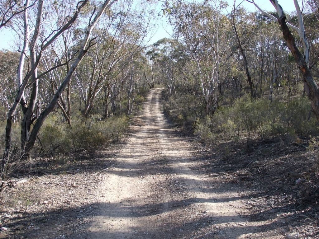 Bathurst NSW 2795, Bathurst - Thumbnail 5