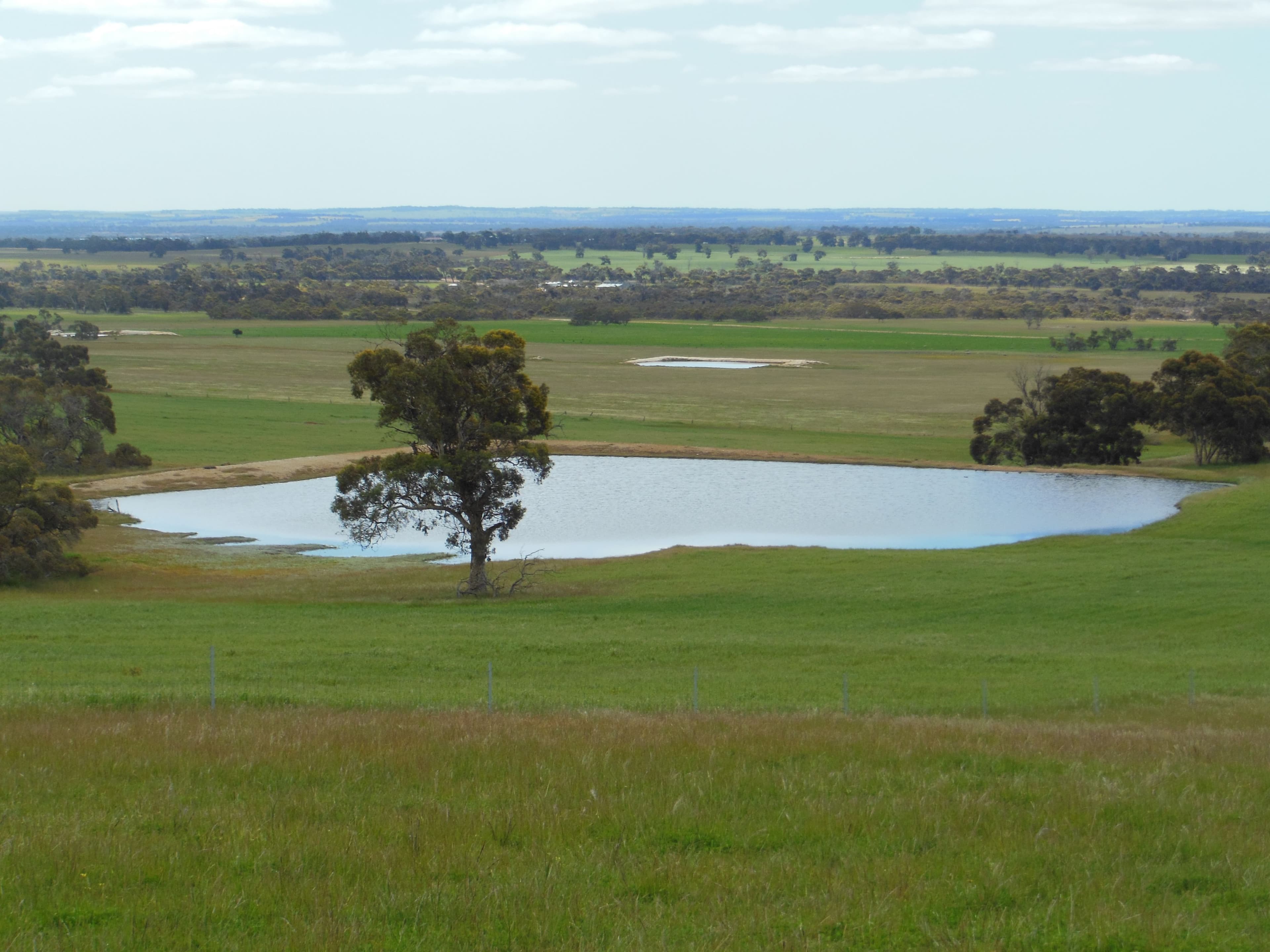 Sukey Hill, 98 Barytes Road, Cranbrook WA 6321, Cranbrook - Thumbnail 3