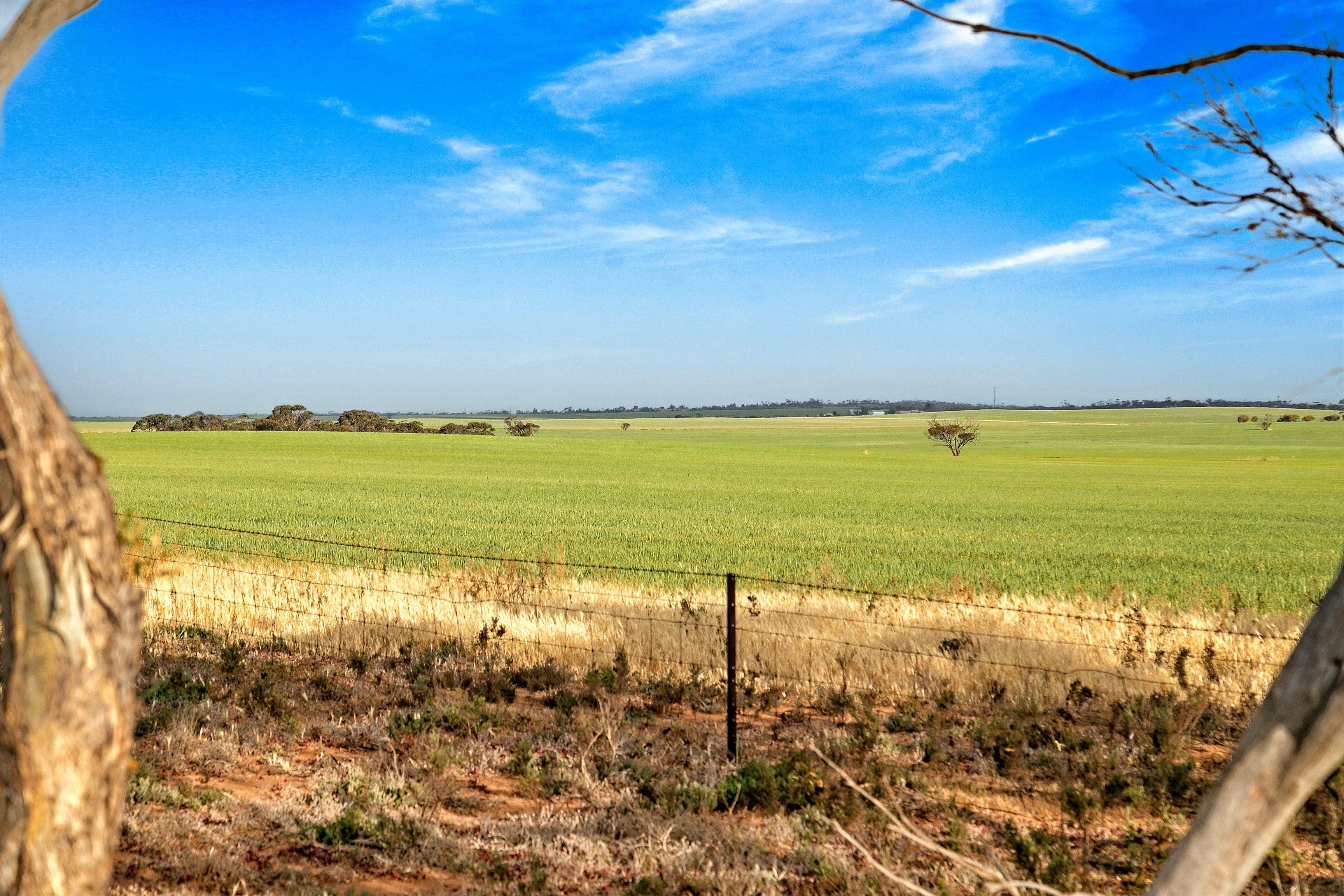 Lot 2 Payne Road, Koongawa SA 5650, Koongawa - Thumbnail 8