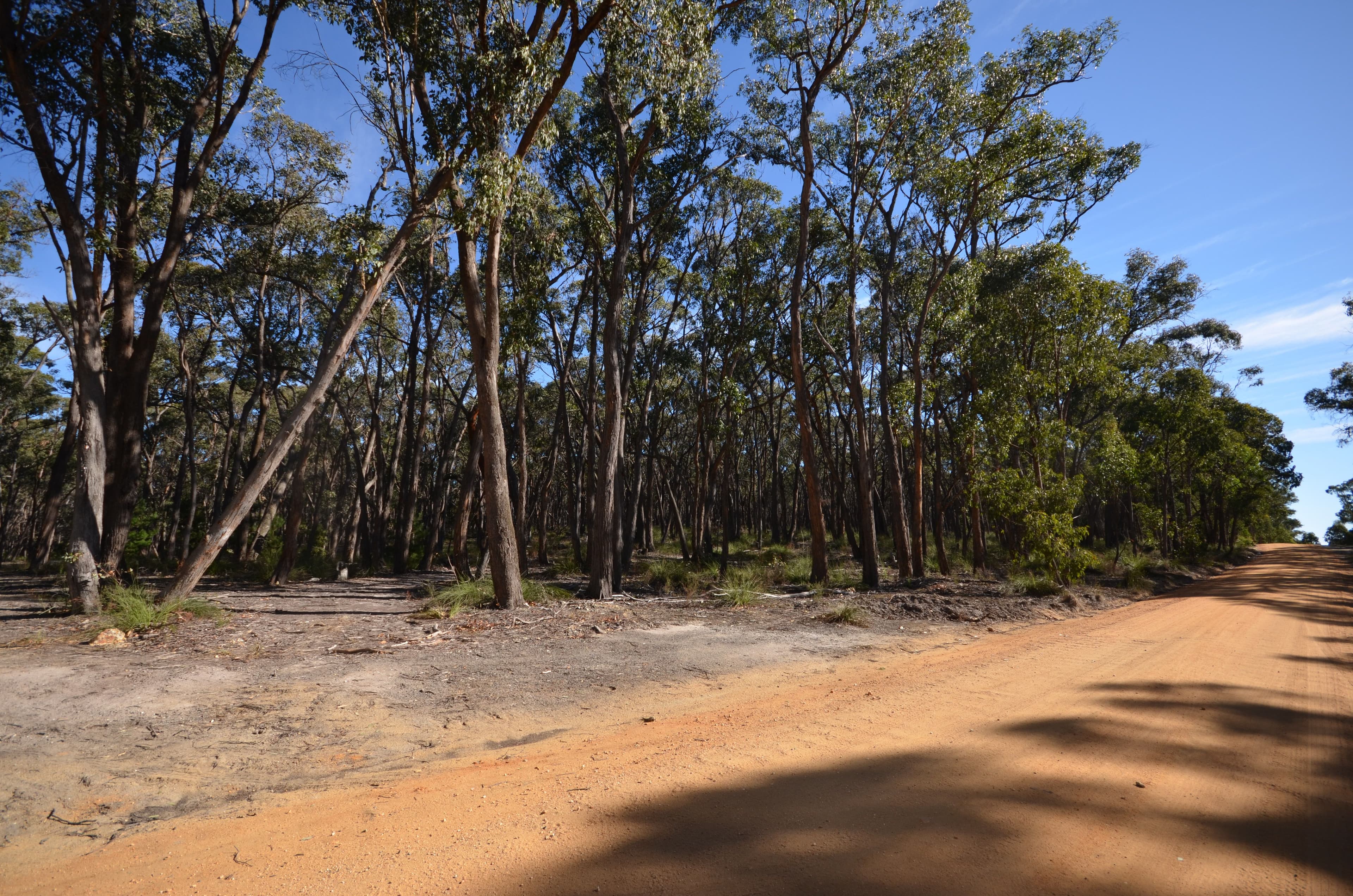 CA 10 & 11 Lightwood Park Road, SMYTHESDALE VIC 3351, Smythesdale - Thumbnail 2