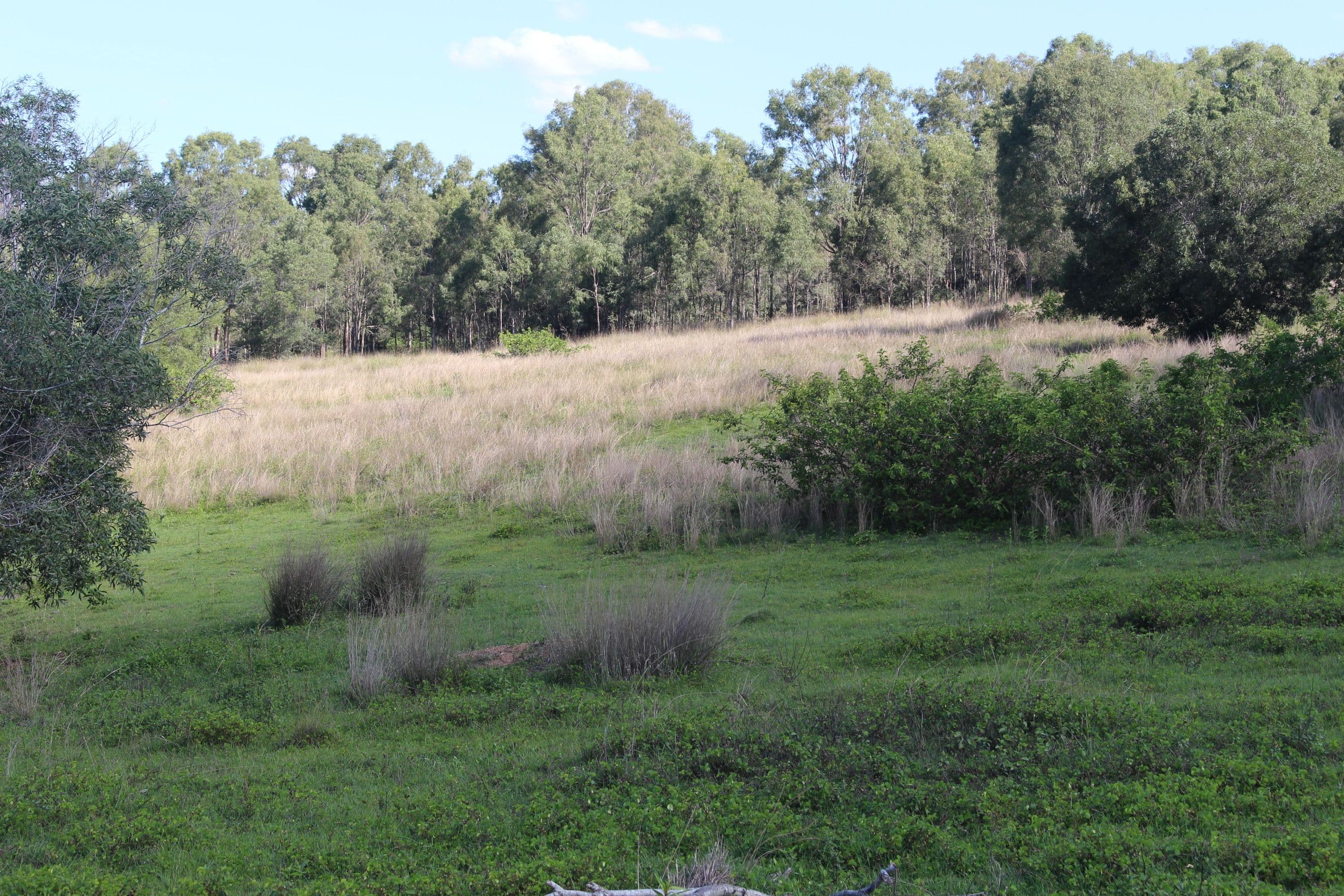 677 Goomeri West, Goomeri QLD 4601, Goomeri - Thumbnail 5