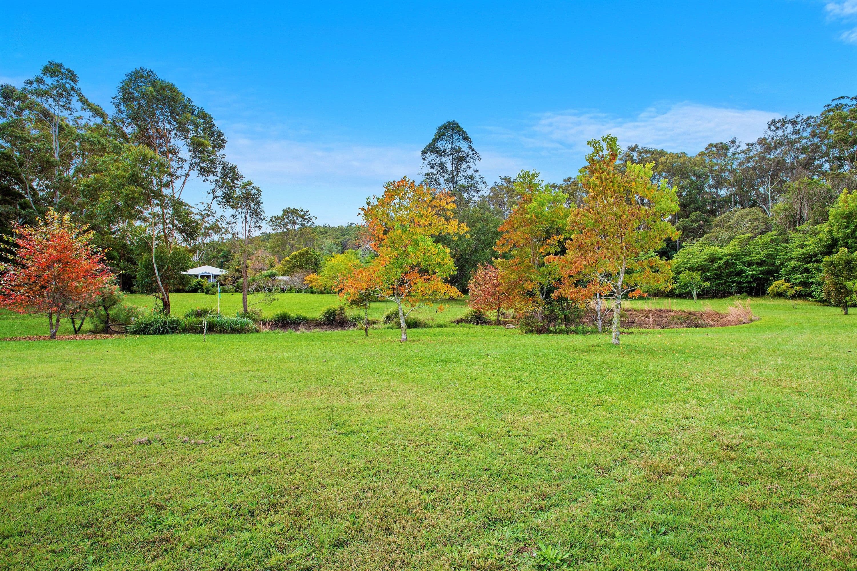 25 Mardi Road, Mardi NSW 2259, Mardi - Image 1