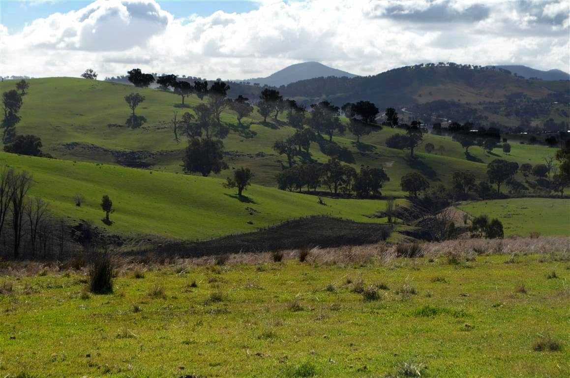 'Tanyard Creek' Stantons Road, ADELONG NSW 2729, Adelong - Thumbnail 5