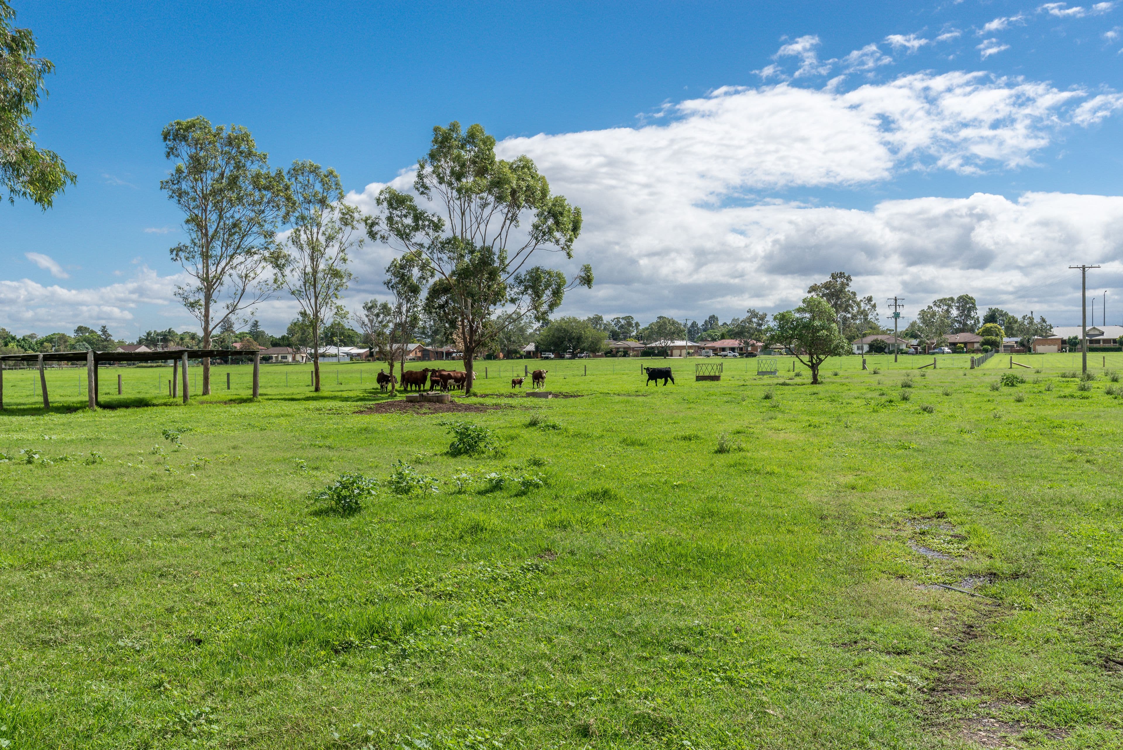27 Whitefalls Lane, Singleton NSW 2330, Singleton - Thumbnail 3