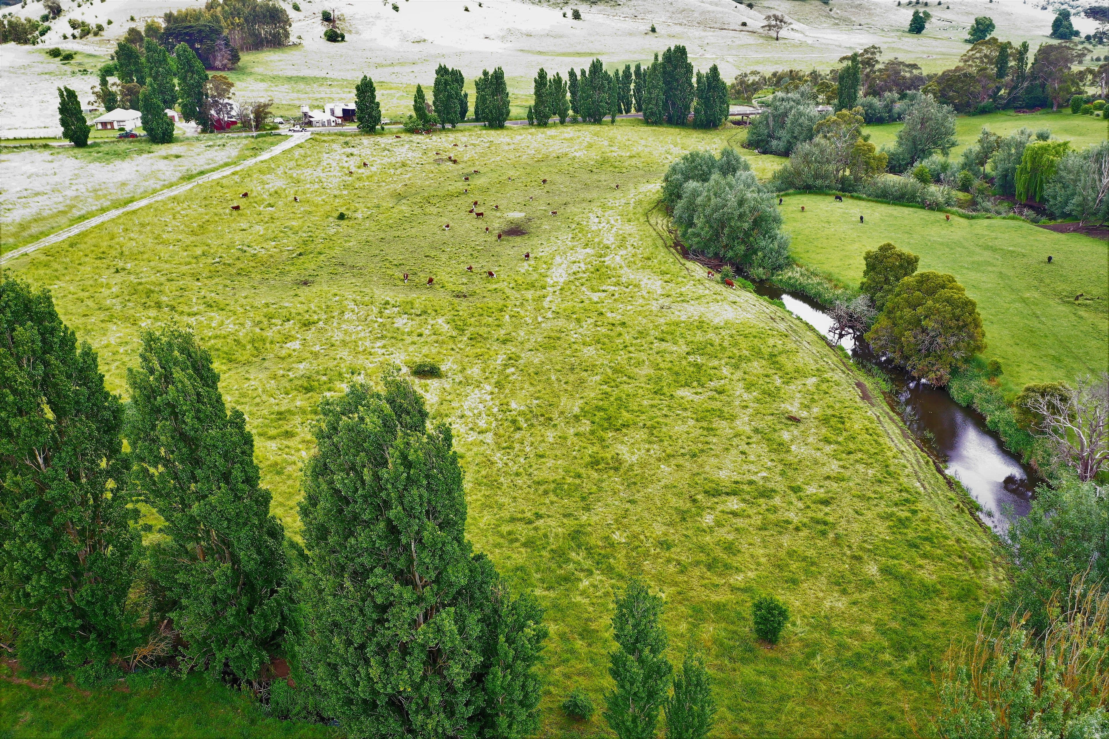 210 Timboon - Nullawarre Road, Timboon VIC 3268, Timboon - Thumbnail 5