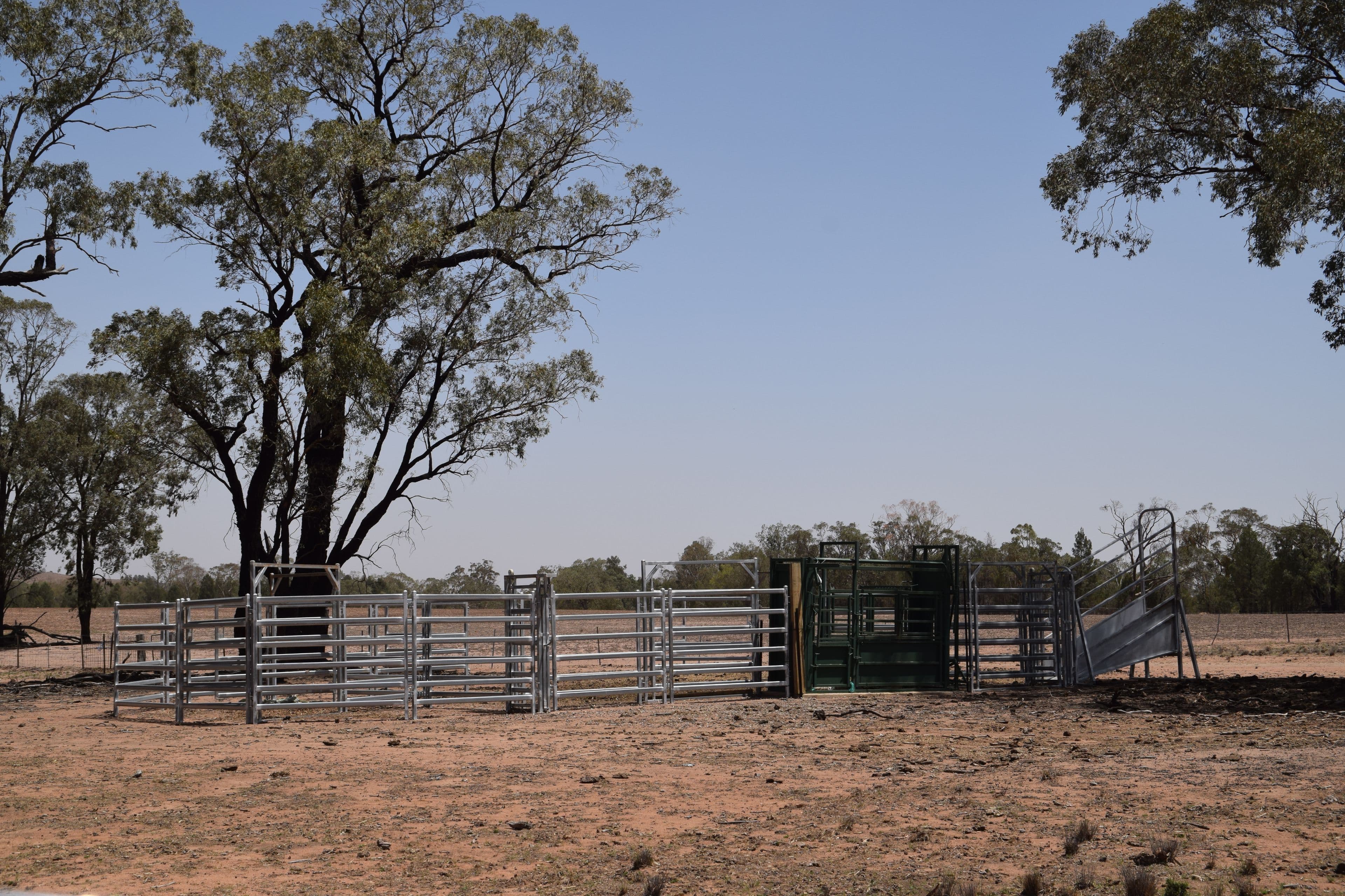 470 Dilladerry Road, Tomingley NSW 2869, Tomingley - Thumbnail 3
