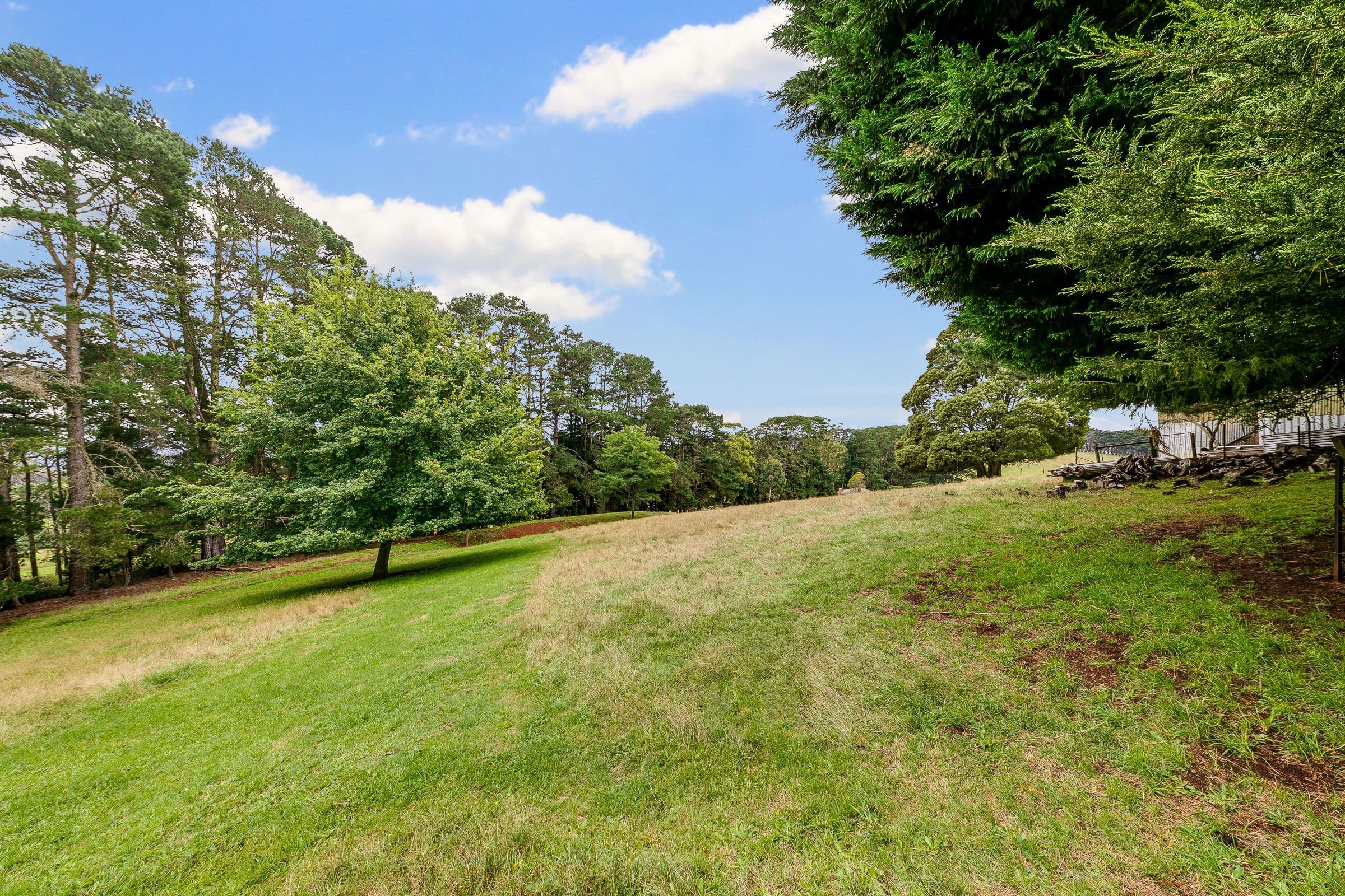 11 Olsson Road, Neerim North VIC 3832, Neerim North - Thumbnail 7