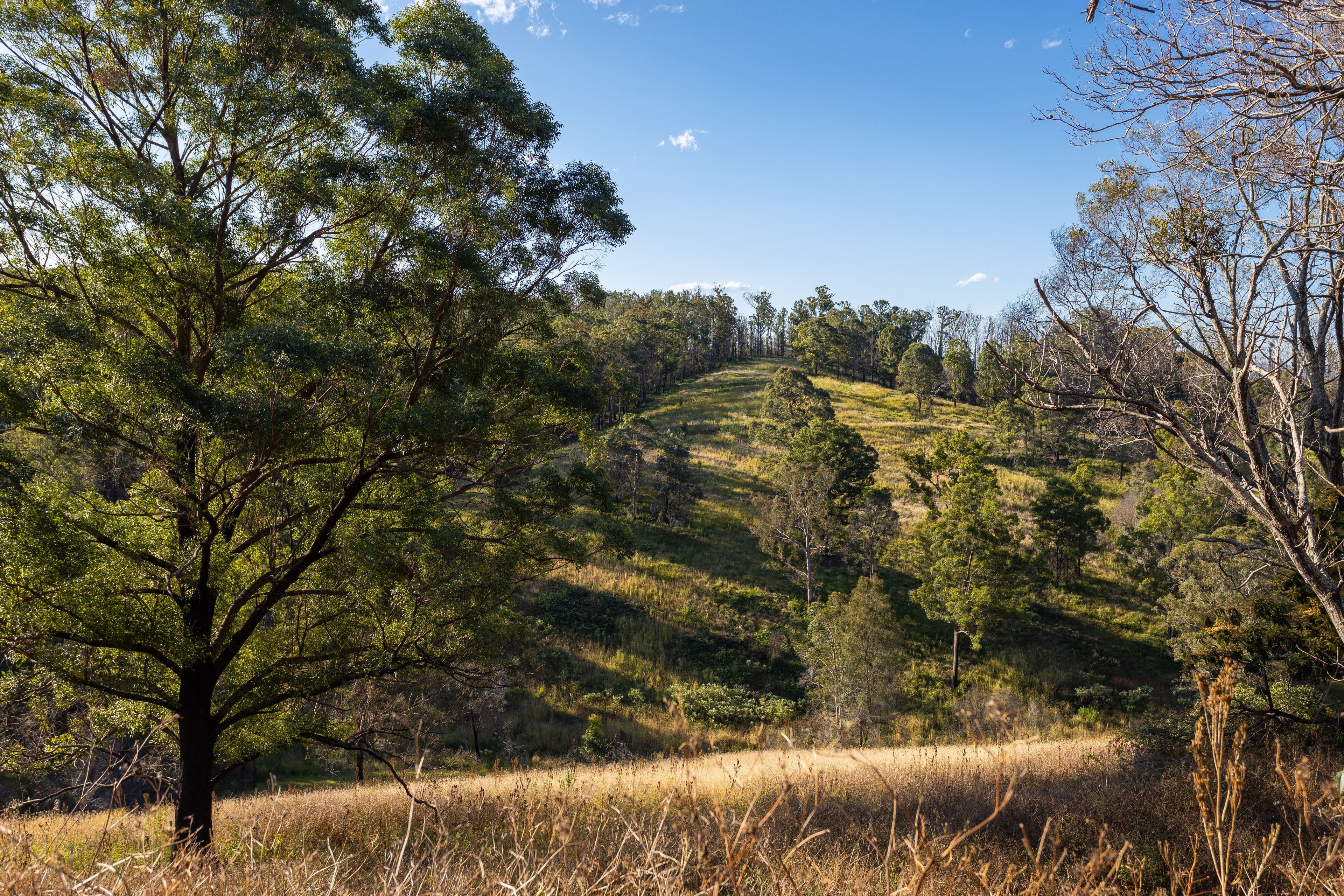 236 Fords Road, Koorainghat NSW 2430, Koorainghat - Thumbnail 8