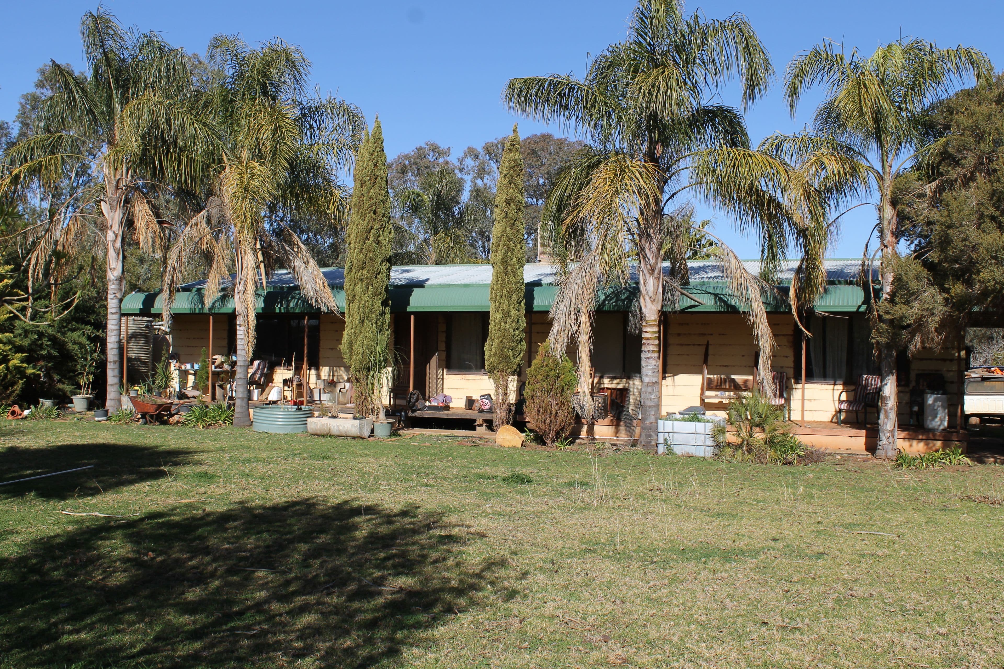 Ammiti Kiacatoo Road, Condobolin NSW 2877, Condobolin - Thumbnail 2