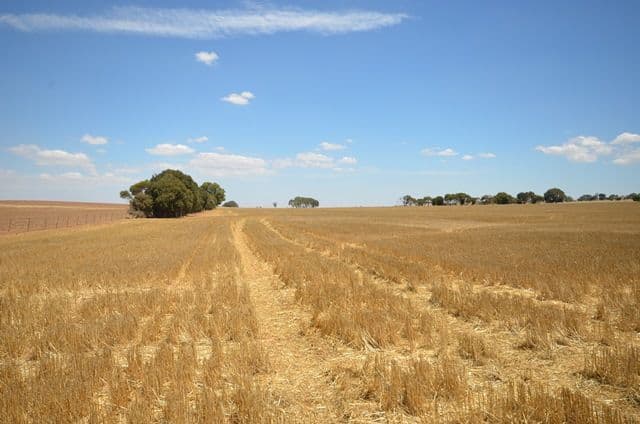 "Bills" Farrell Flat Road, Farrell Flat SA 5416, Farrell Flat - Thumbnail 7