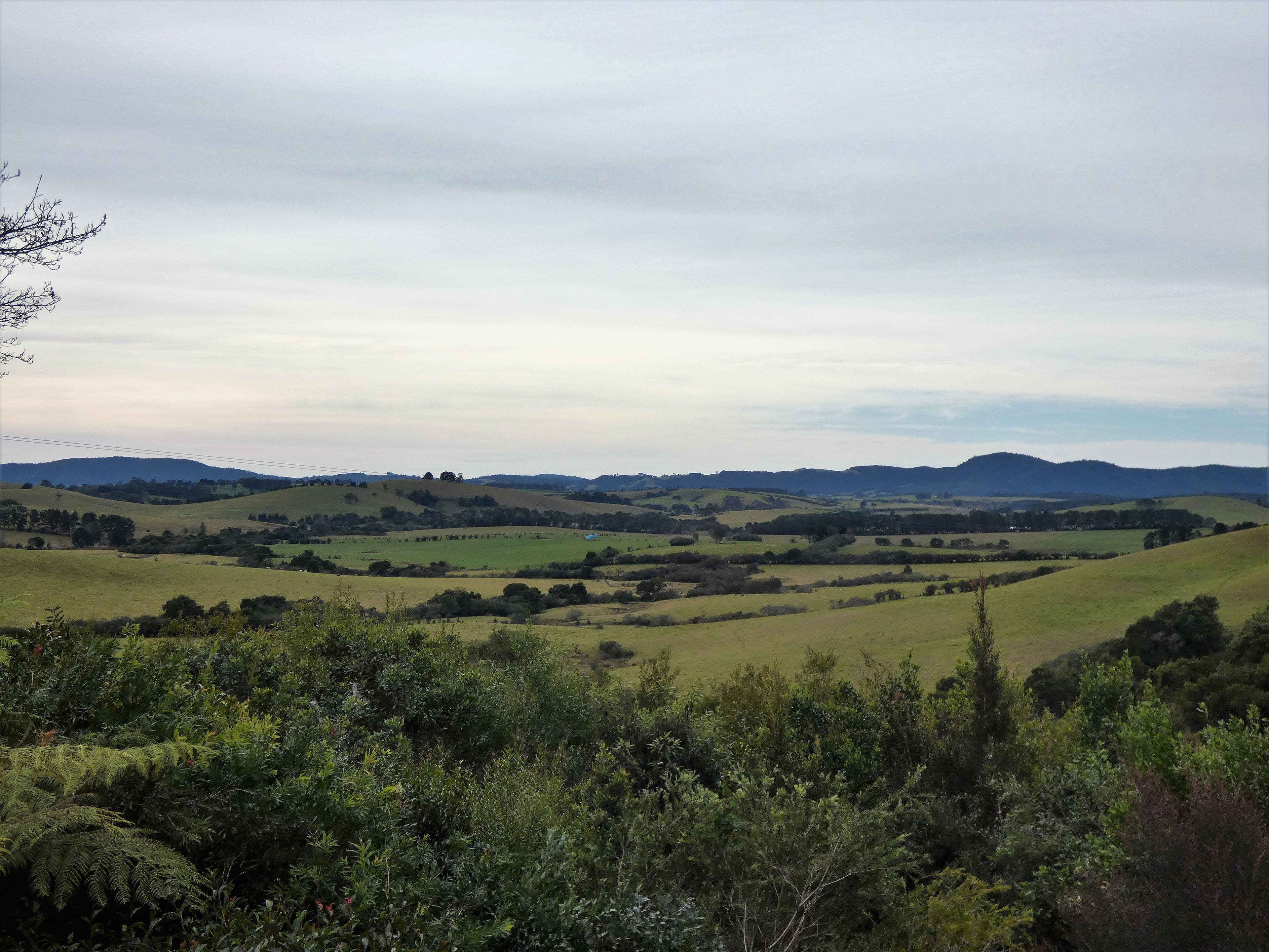 618 Maynards Plains Road, Dorrigo NSW 2453, Dorrigo - Thumbnail 4