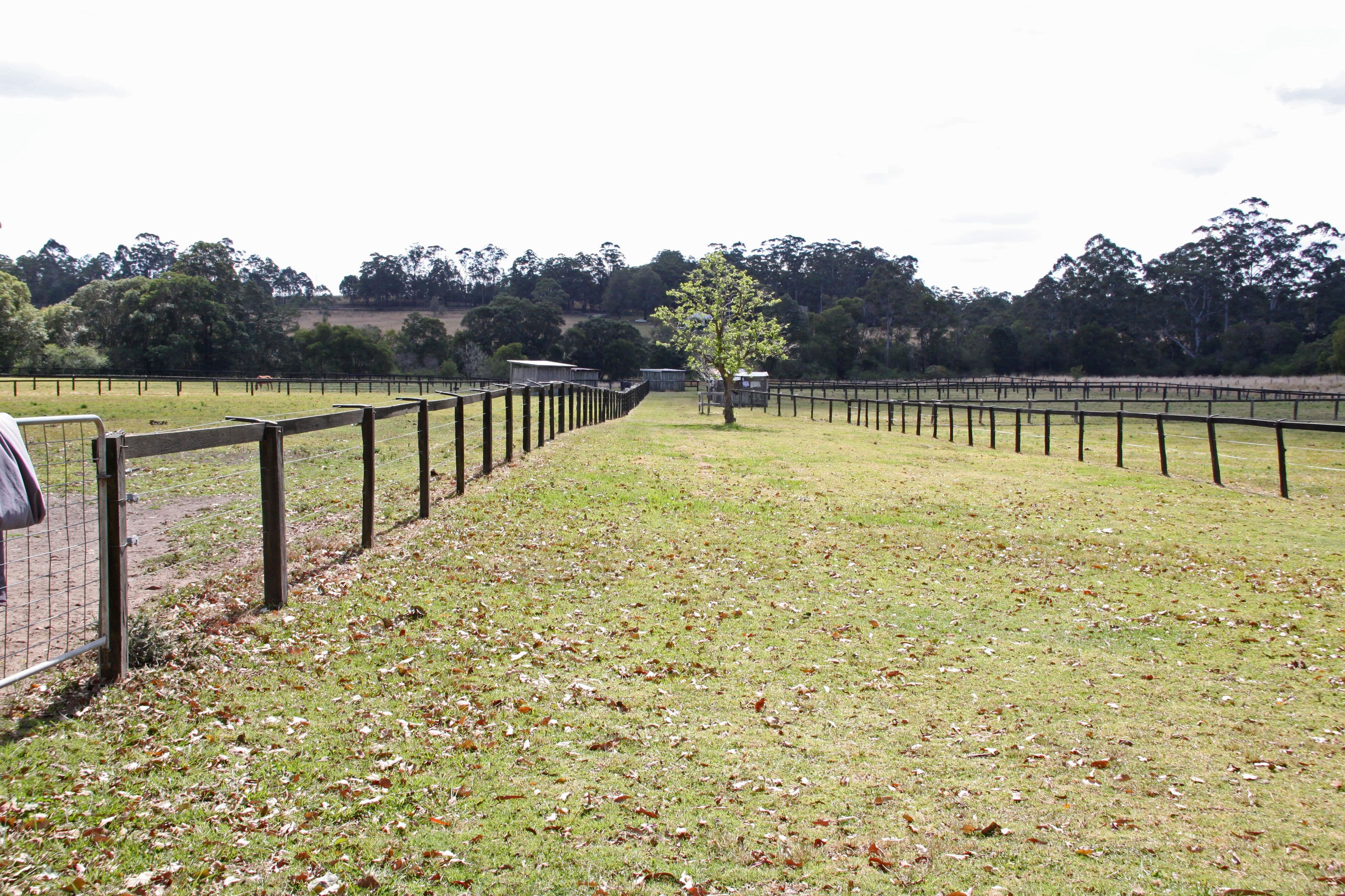 22 Gumnut Road, Herons Creek NSW 2443, Herons Creek - Thumbnail 8