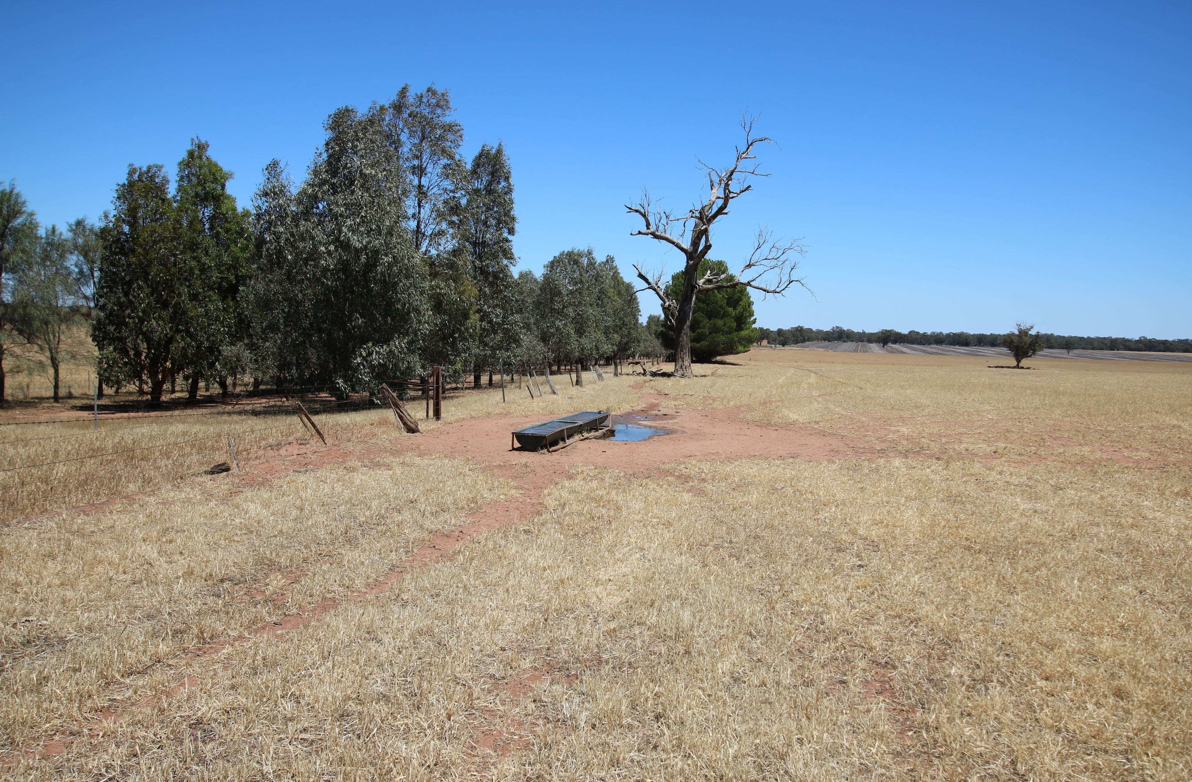 00 Seven Mile Road, Dooboobetic VIC 3478, Dooboobetic - Thumbnail 6