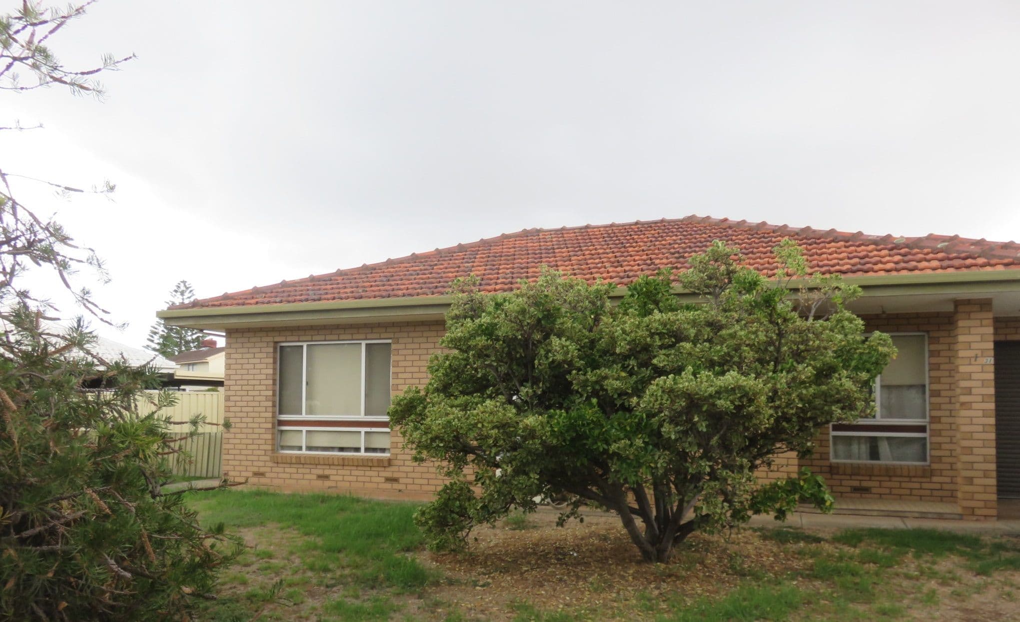 31 Carlo Street, Kidman Park SA 5025, Kidman Park - Image 1