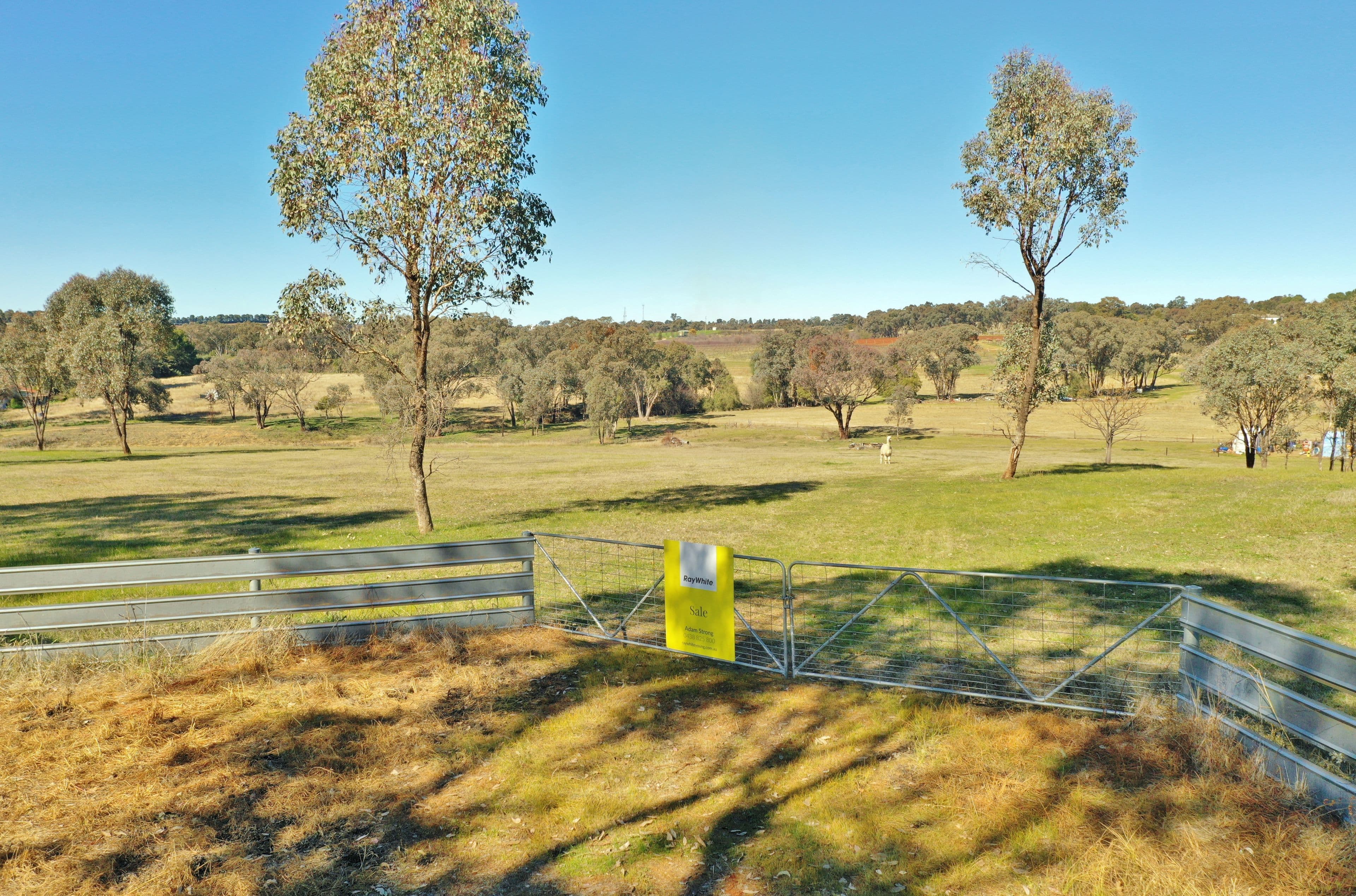 Lot 1986 Reynolds Lane, Young NSW 2594, Young - Thumbnail 2