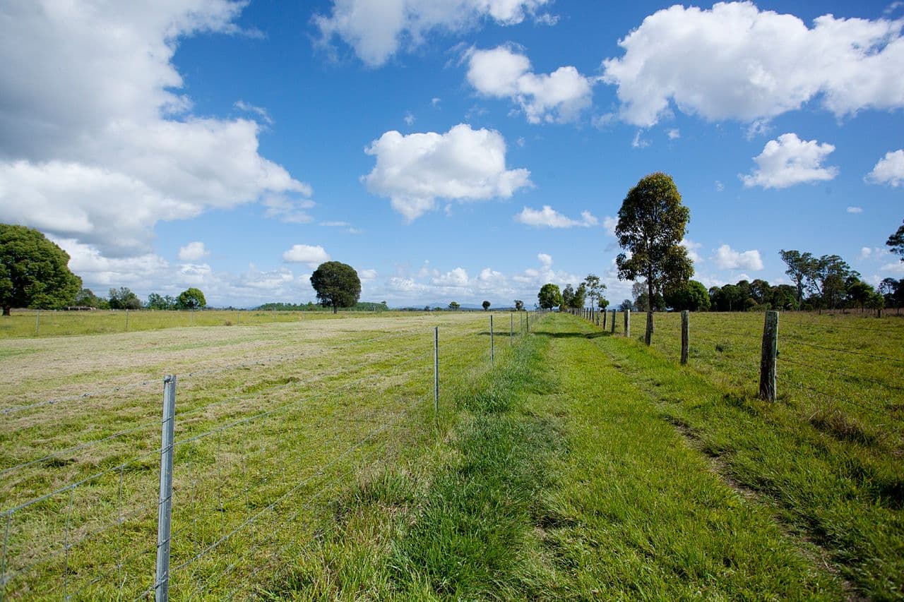 50 Eriksson Lane, Taree NSW 2430, Taree - Thumbnail 3