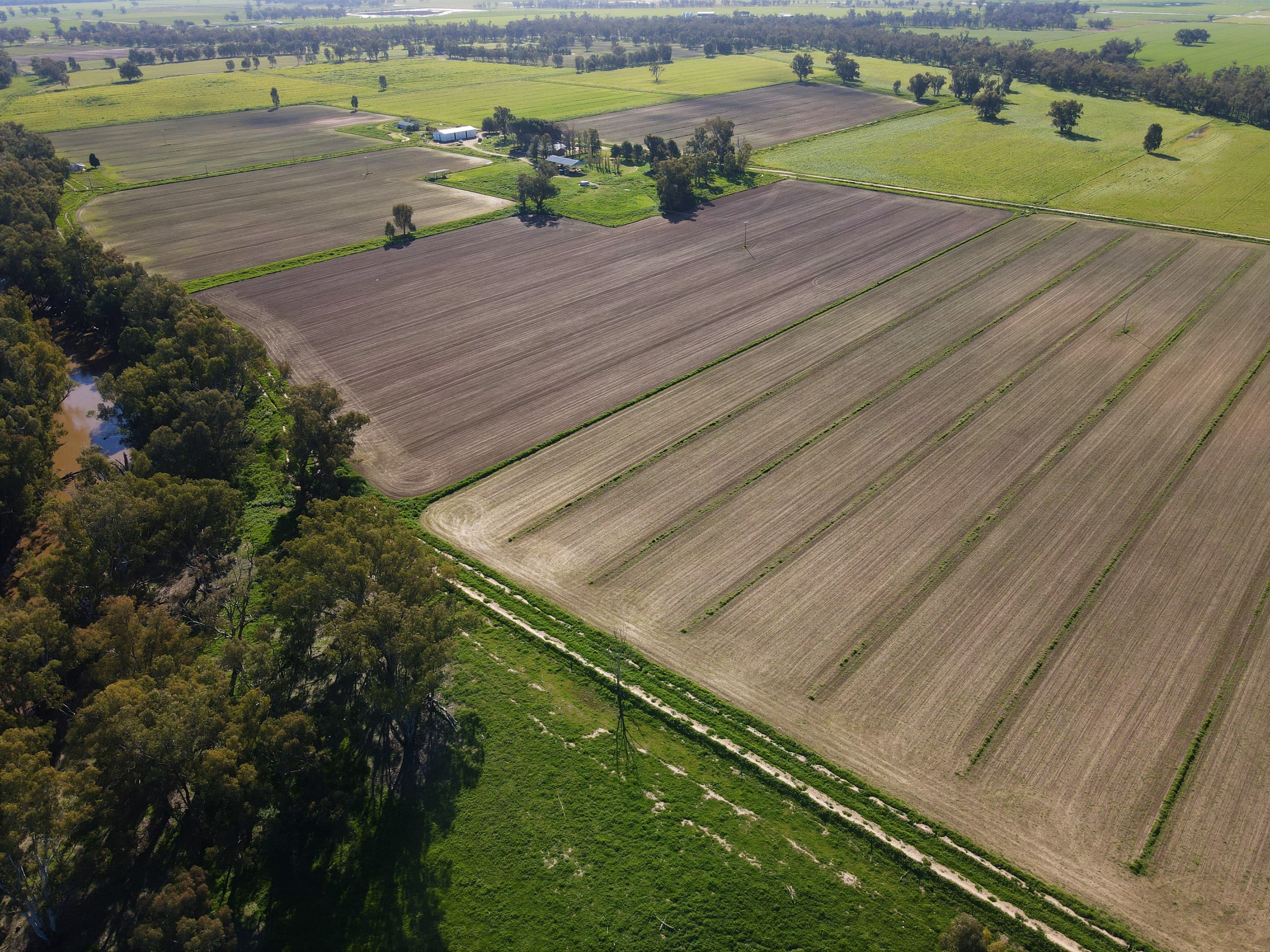 Ulmarra, 10419 The Escort Way, Forbes NSW 2871, Forbes - Thumbnail 7