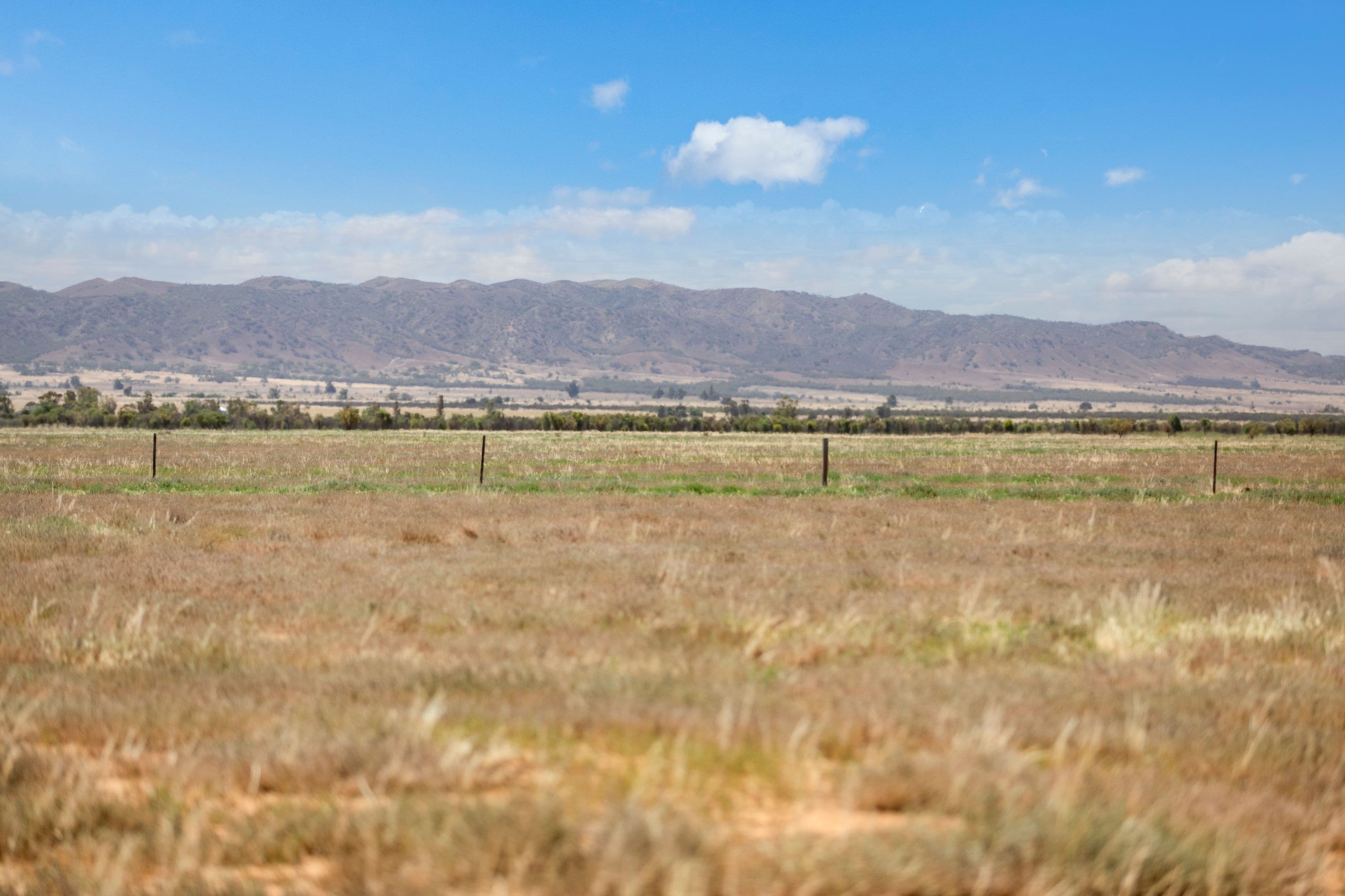 Lot 3 School Road, Orroroo SA 5431, Orroroo - Thumbnail 2