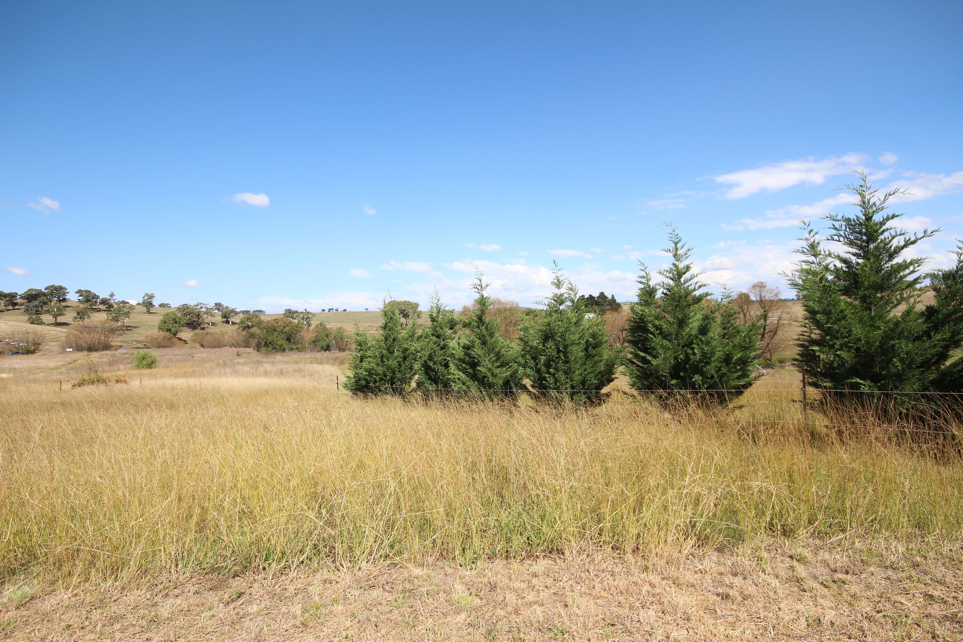 2913 Tarana Road, Tarana NSW 2787, Tarana - Thumbnail 6