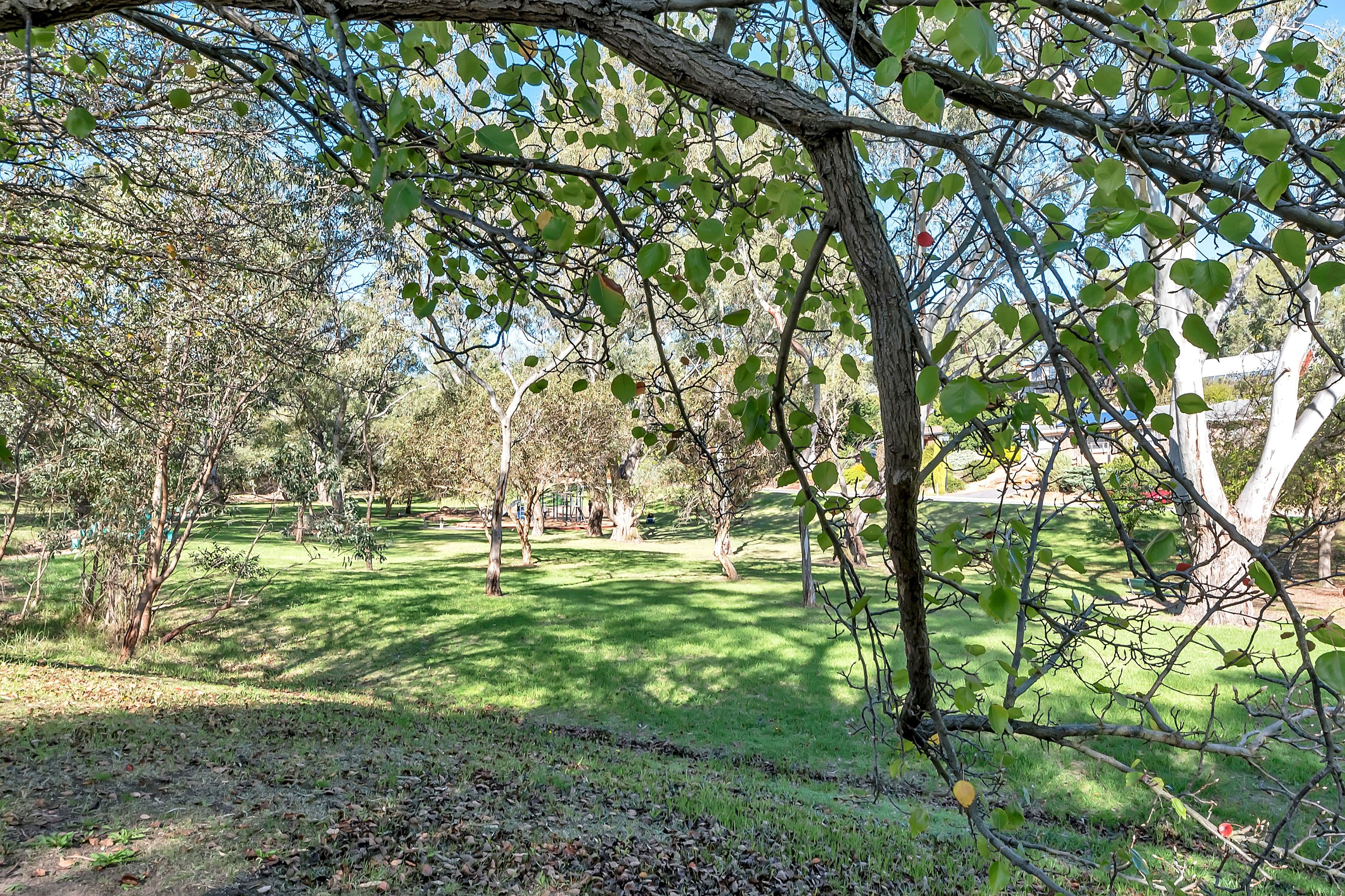 1 Oakley Road, Aberfoyle Park SA 5159, Aberfoyle Park - Thumbnail 6
