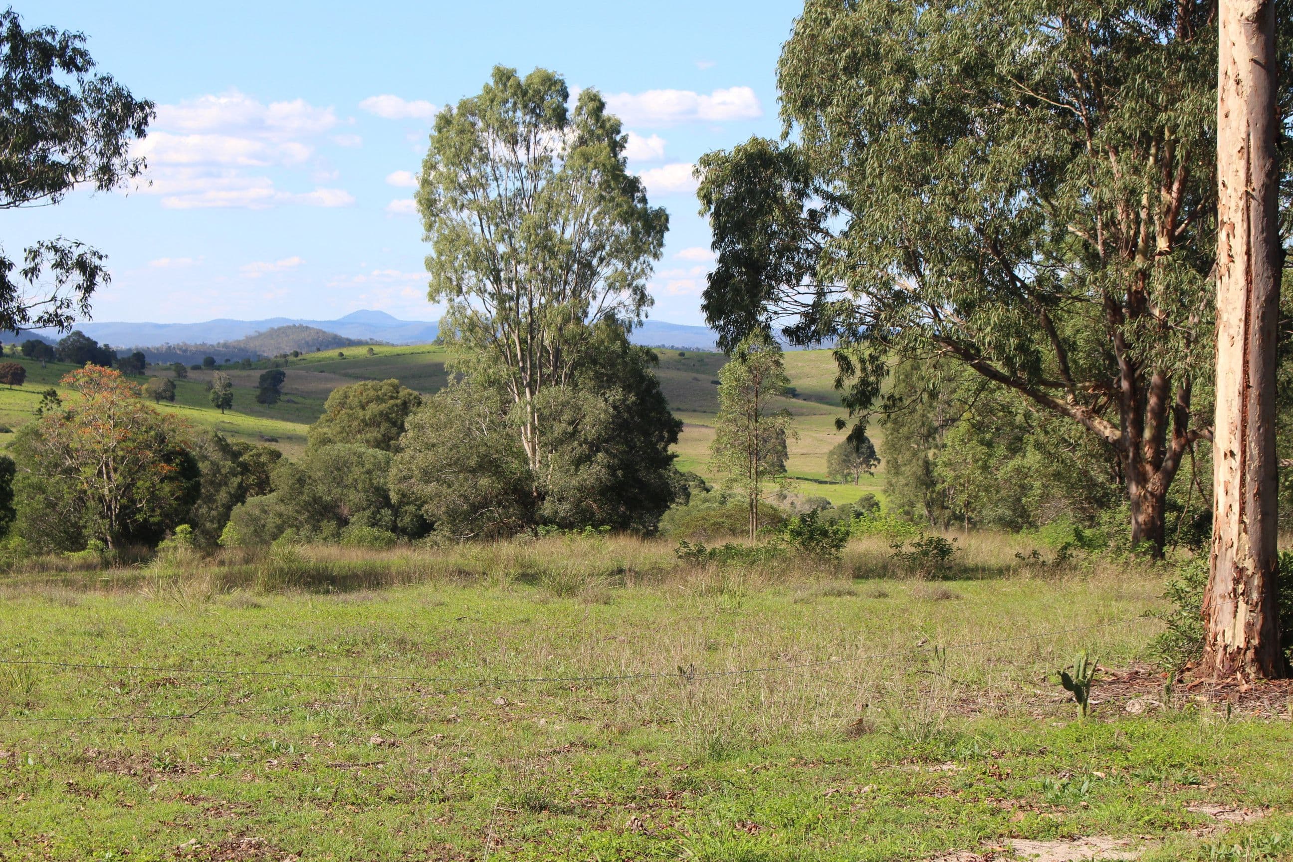677 Goomeri West, Goomeri QLD 4601, Goomeri - Thumbnail 2