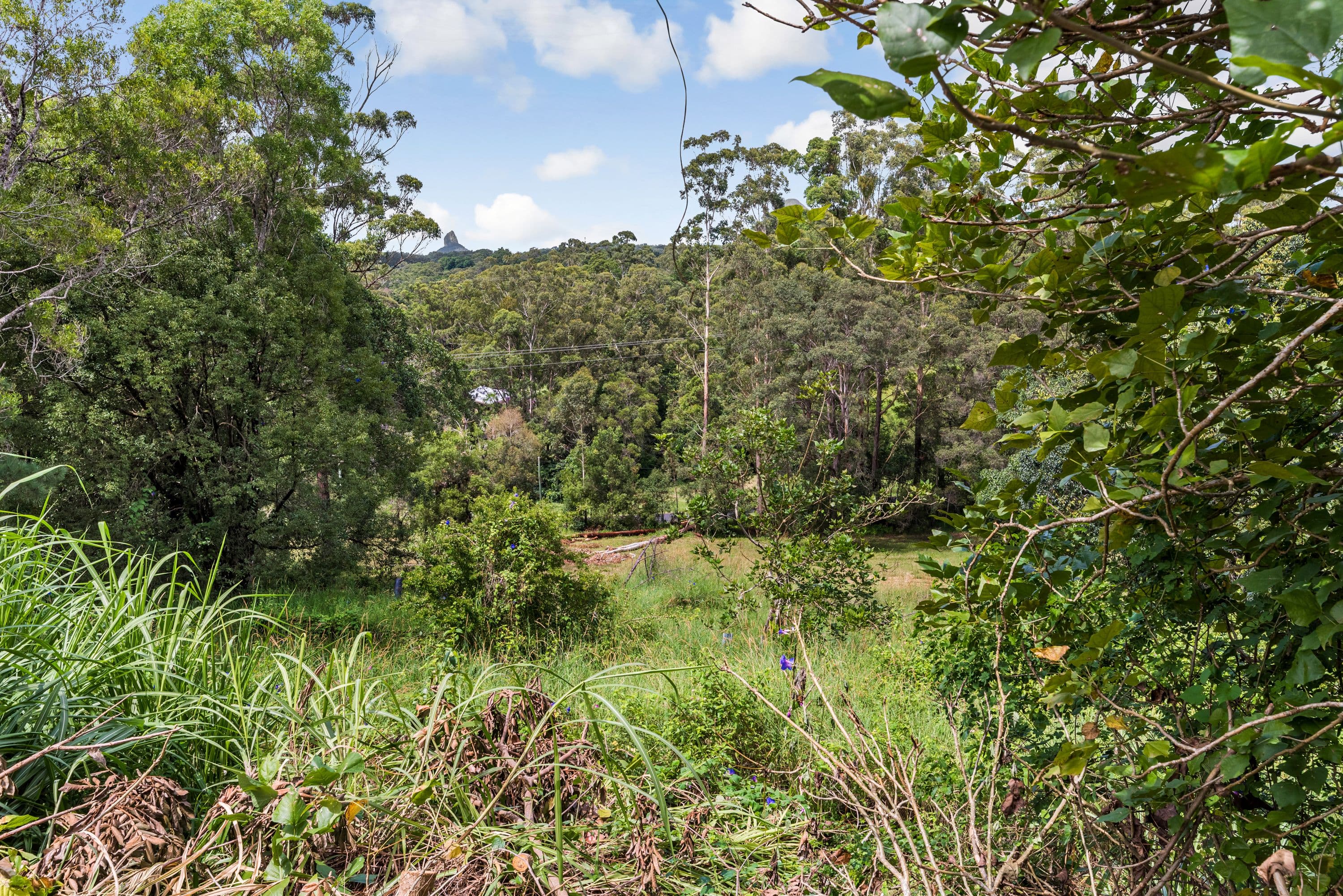 260 Bald Knob Road, Peachester QLD 4519, Peachester - Thumbnail 4