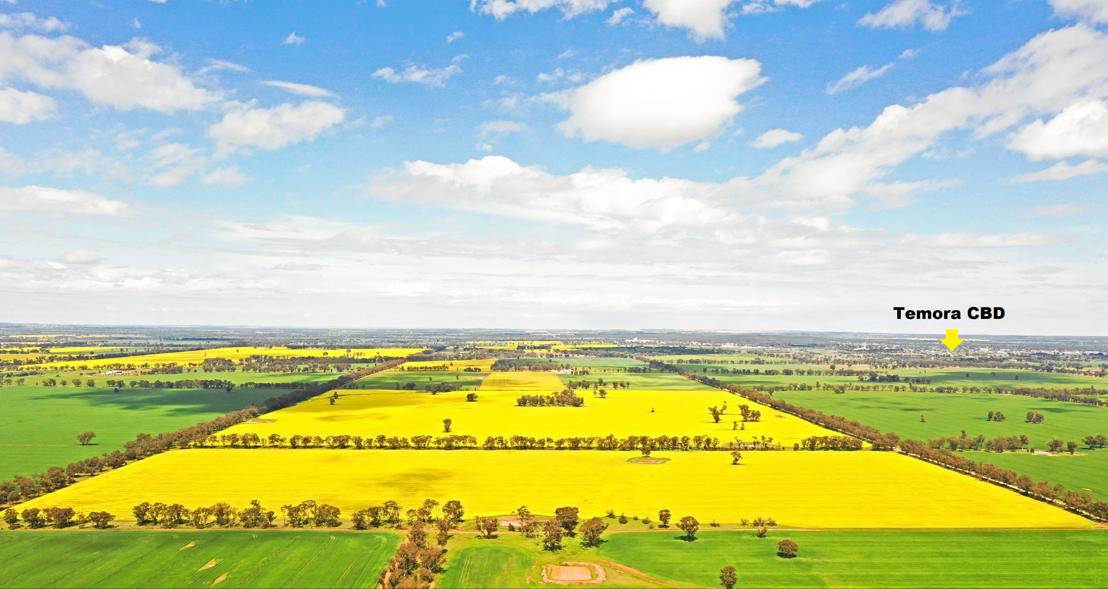 354 Ness Road, Temora NSW 2666, Temora - Thumbnail 7