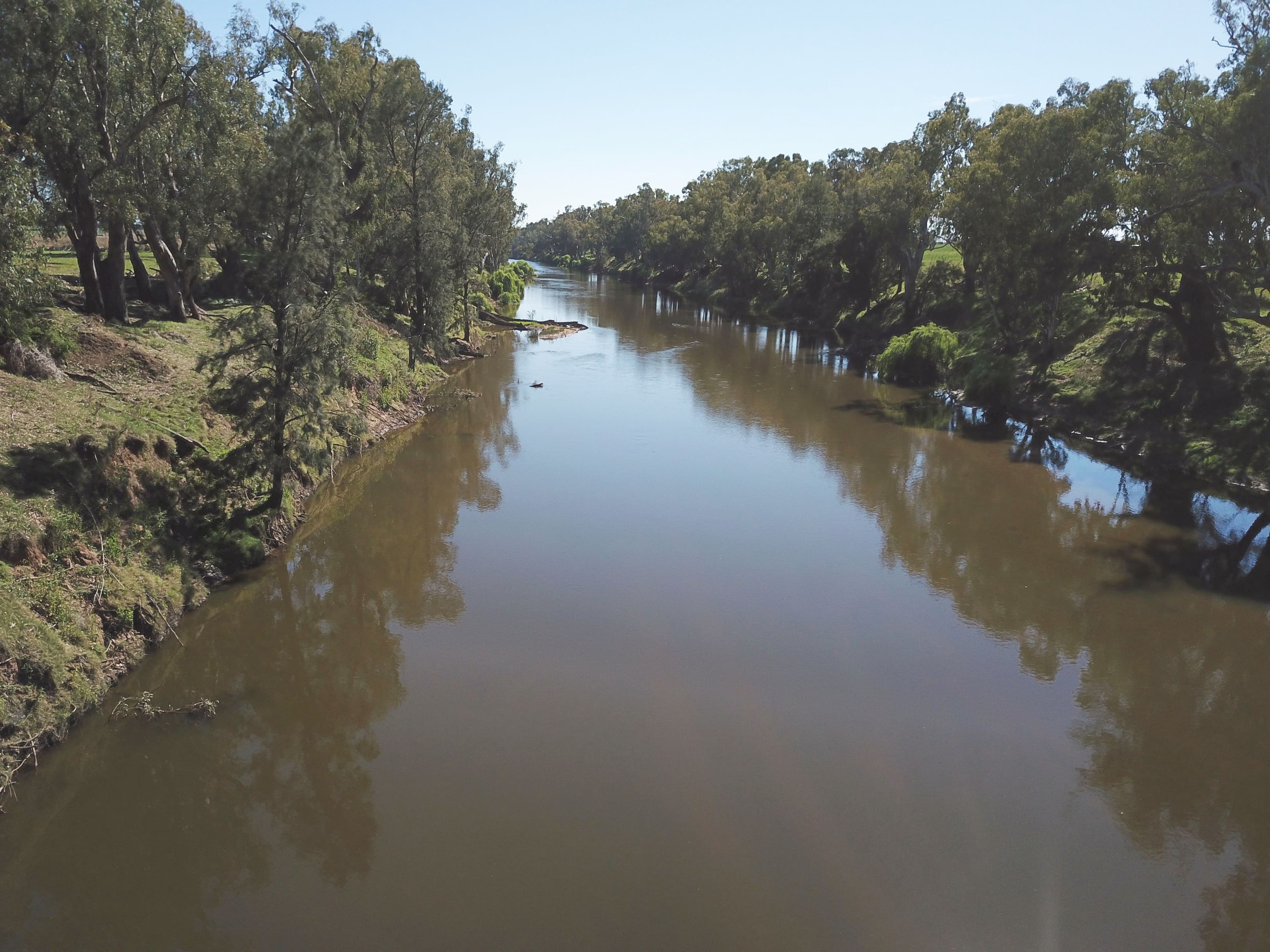 'The Rivergums' 5R Terra Drive, DUBBO NSW 2830, Dubbo - Thumbnail 3
