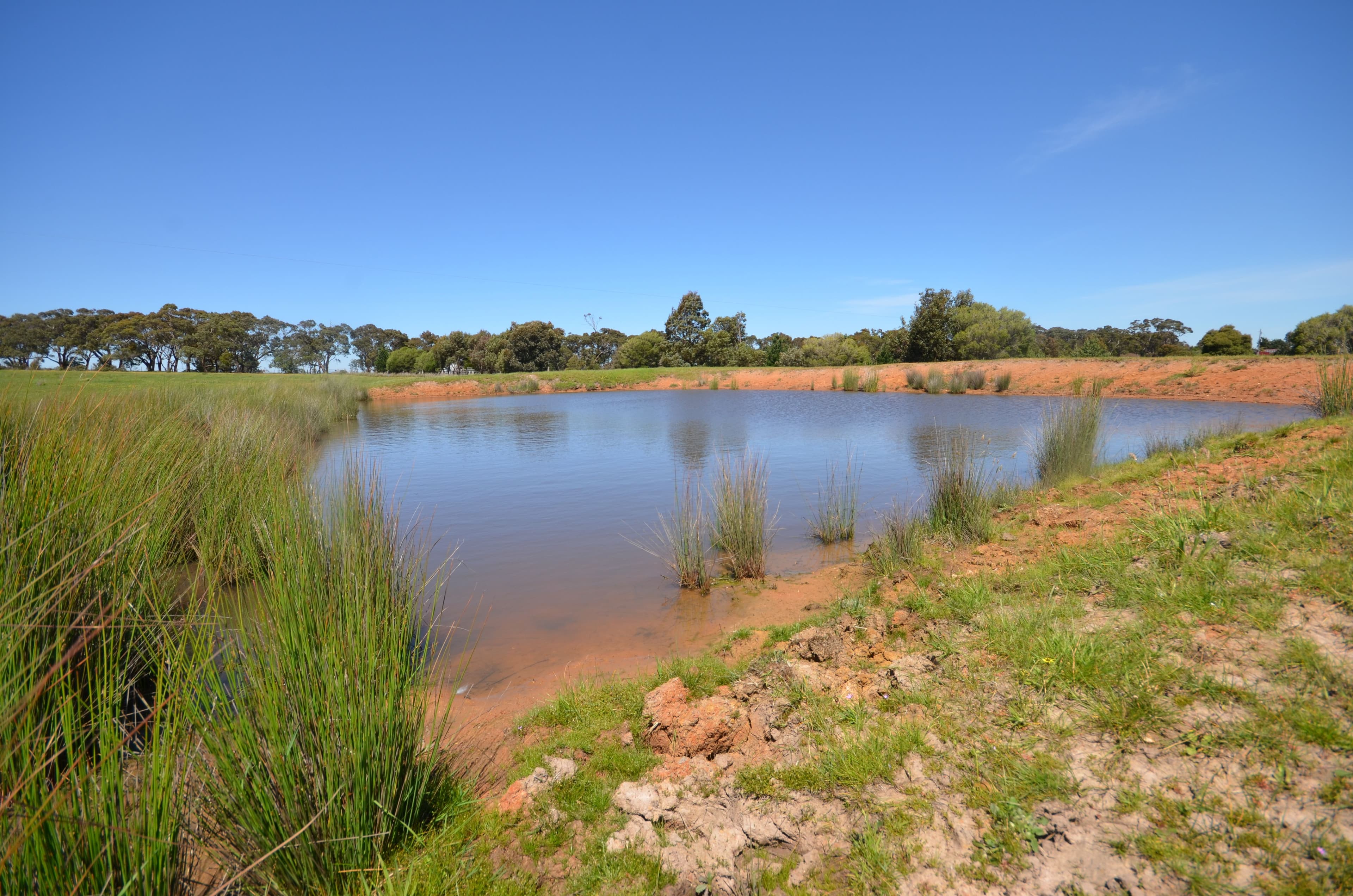 CA 1 Berringa Road, Berringa  Victoria  3351, Australia, Berringa - Thumbnail 4