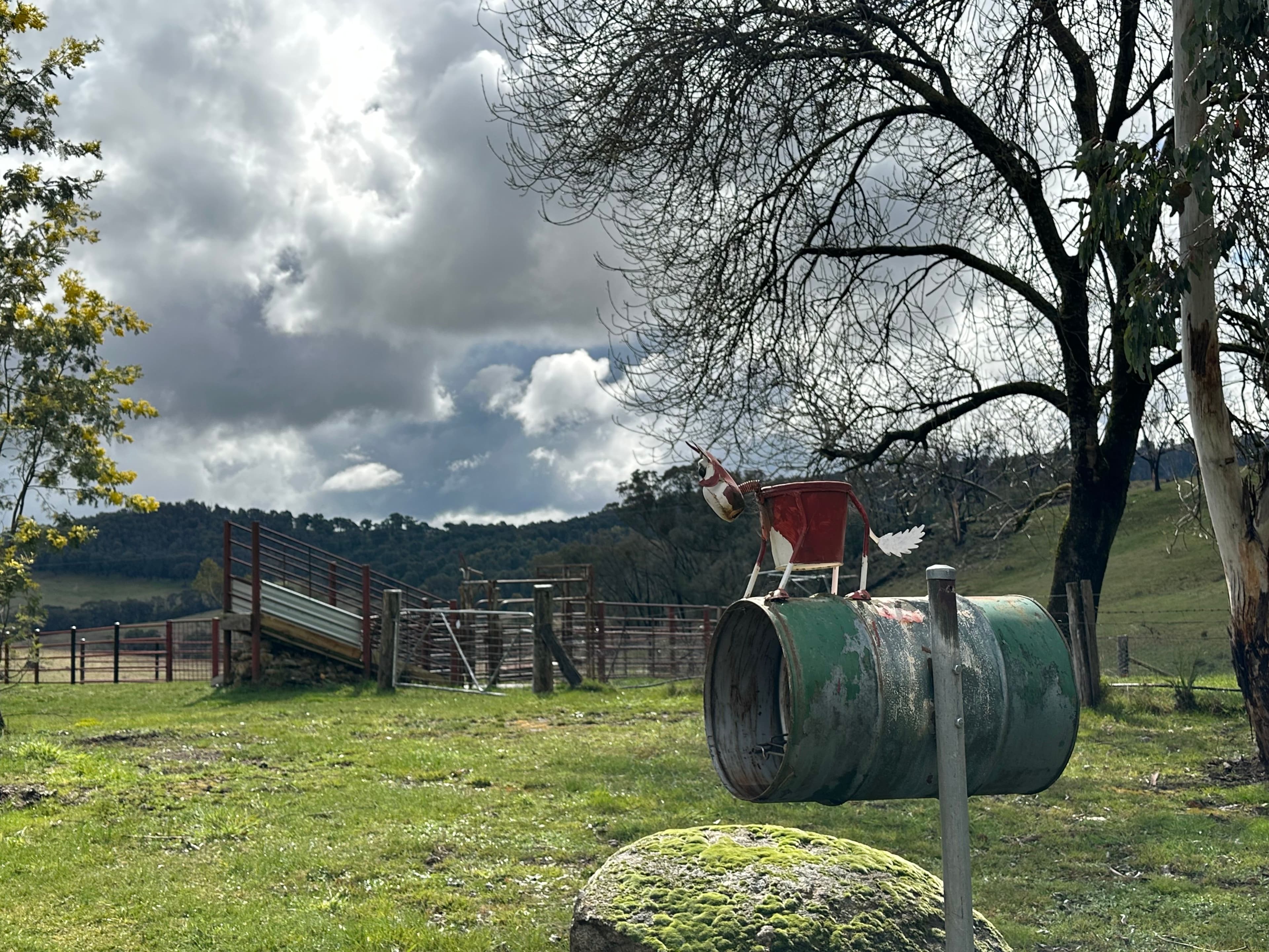 234 Taradale Road, Tumbarumba NSW 2653, Tumbarumba - Image 1