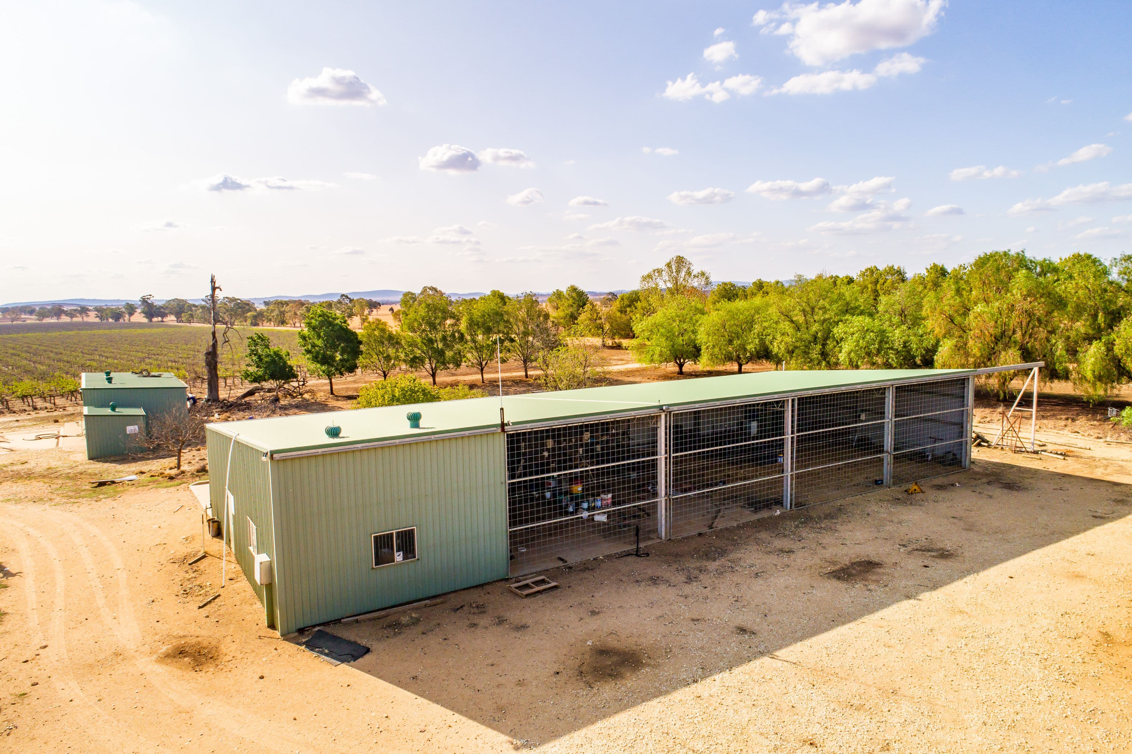 287 Mount Lewis Road, Canowindra NSW 2804, Canowindra - Thumbnail 5