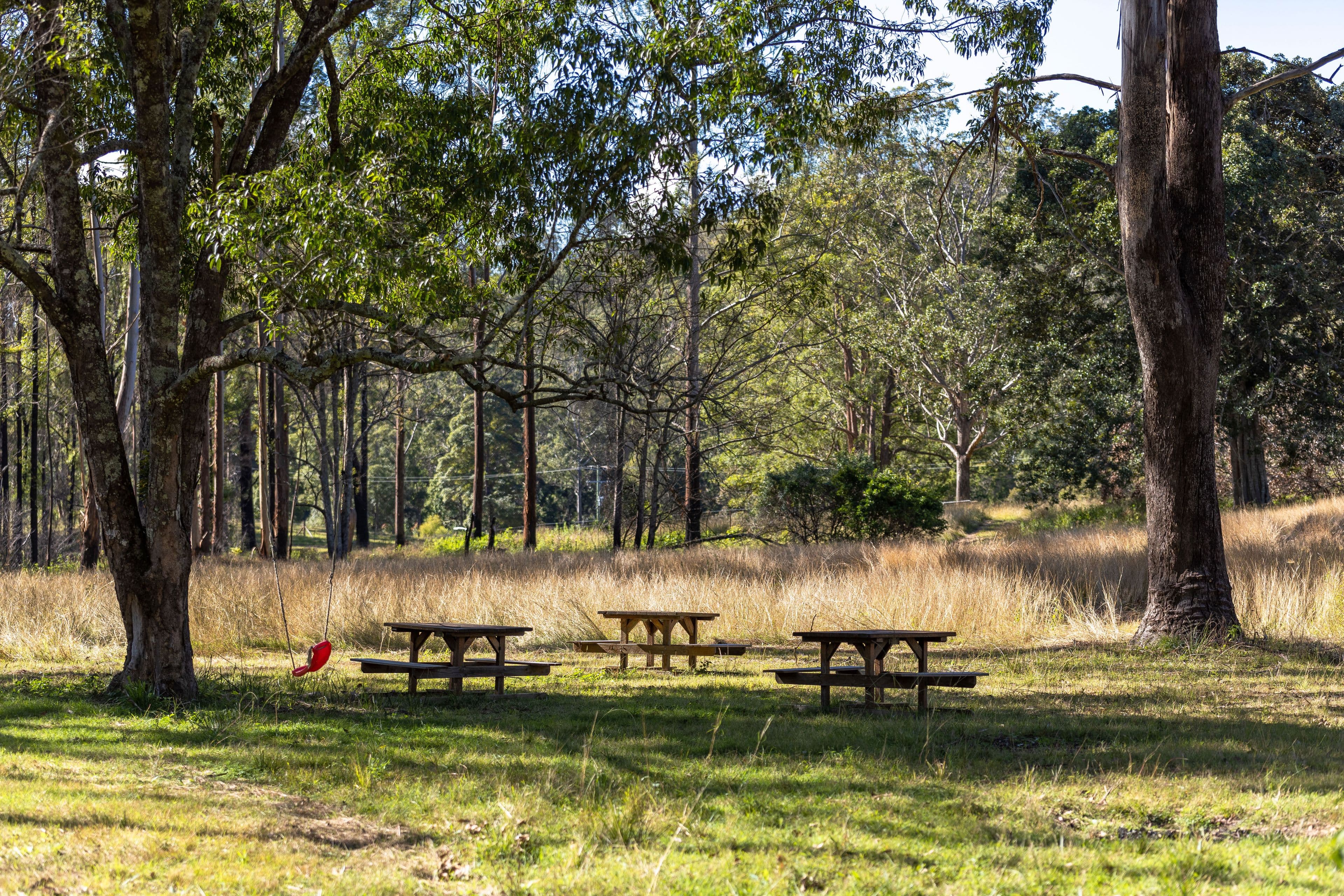 132 Bimbadeen Road, Wherrol Flat NSW 2429, Wherrol Flat - Thumbnail 6