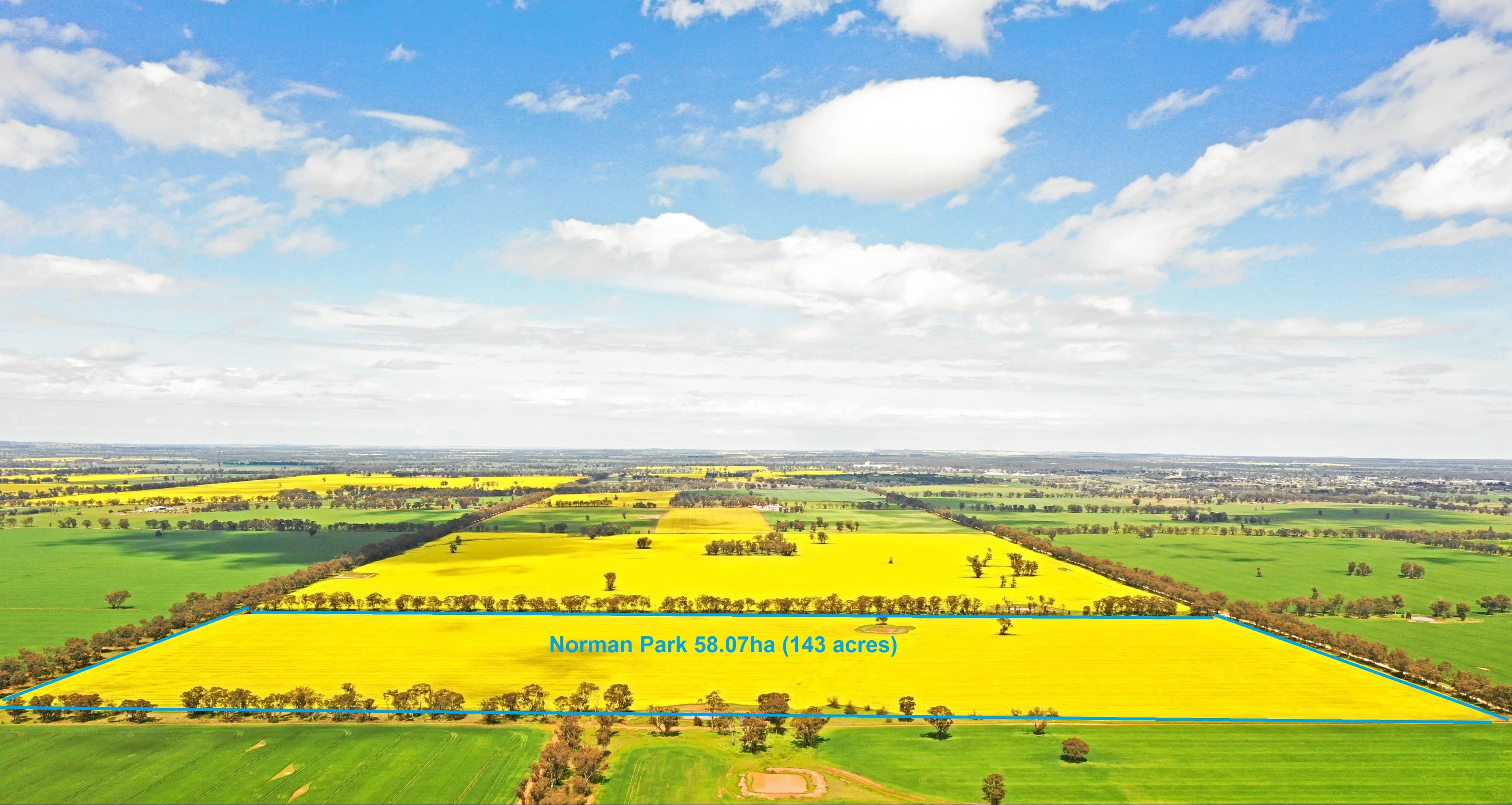 354 Ness Road, Temora NSW 2666, Temora - Thumbnail 2