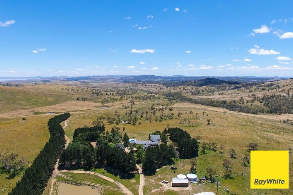 145 Butmaroo Road, Bungendore NSW 2621, Bungendore - Thumbnail 6
