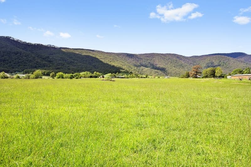 6112B Araluen Road, Araluen NSW 2622, Araluen - Thumbnail 2