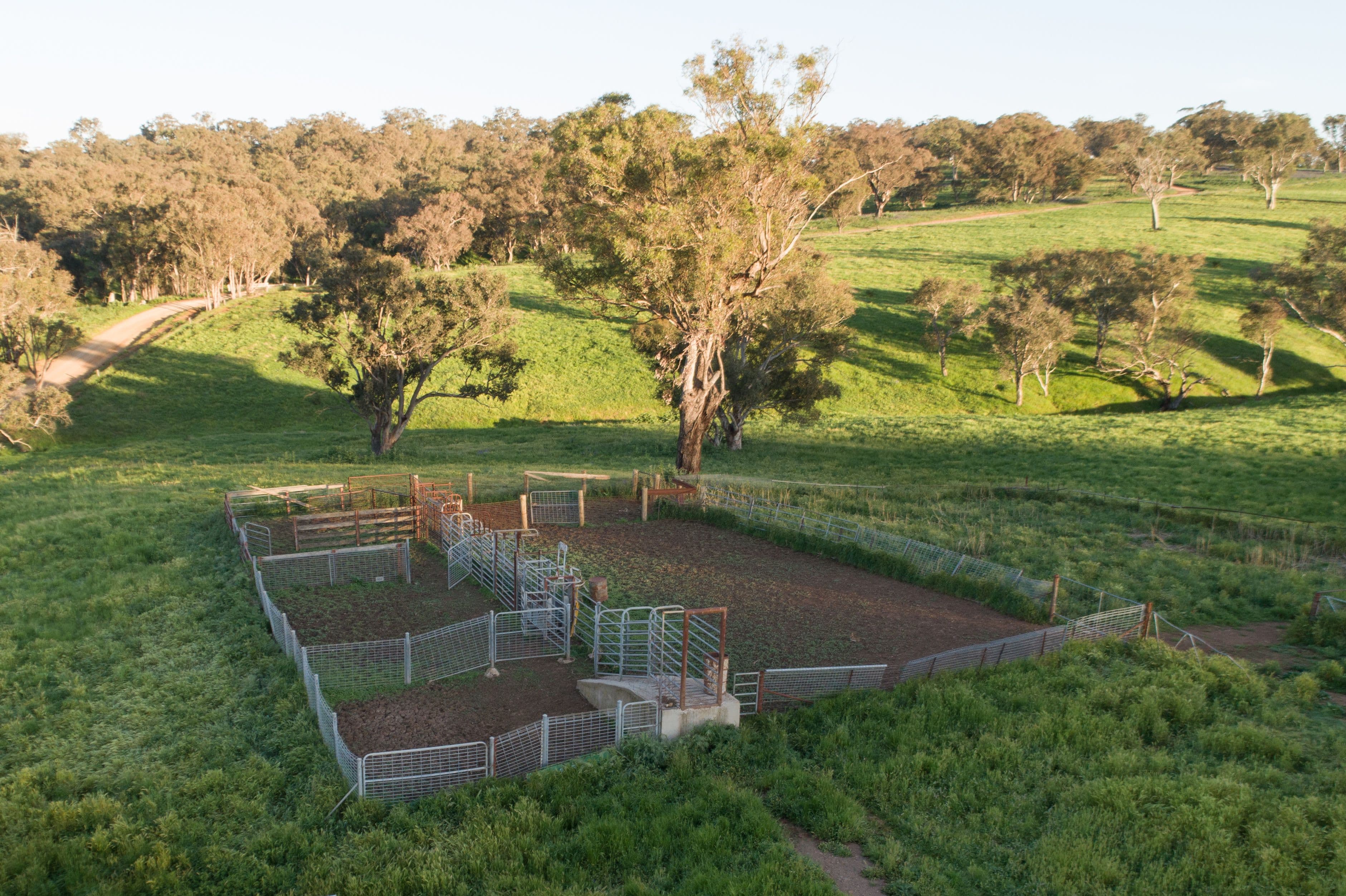 233 Baghdad Road, Cargo NSW 2800, Cargo - Thumbnail 4