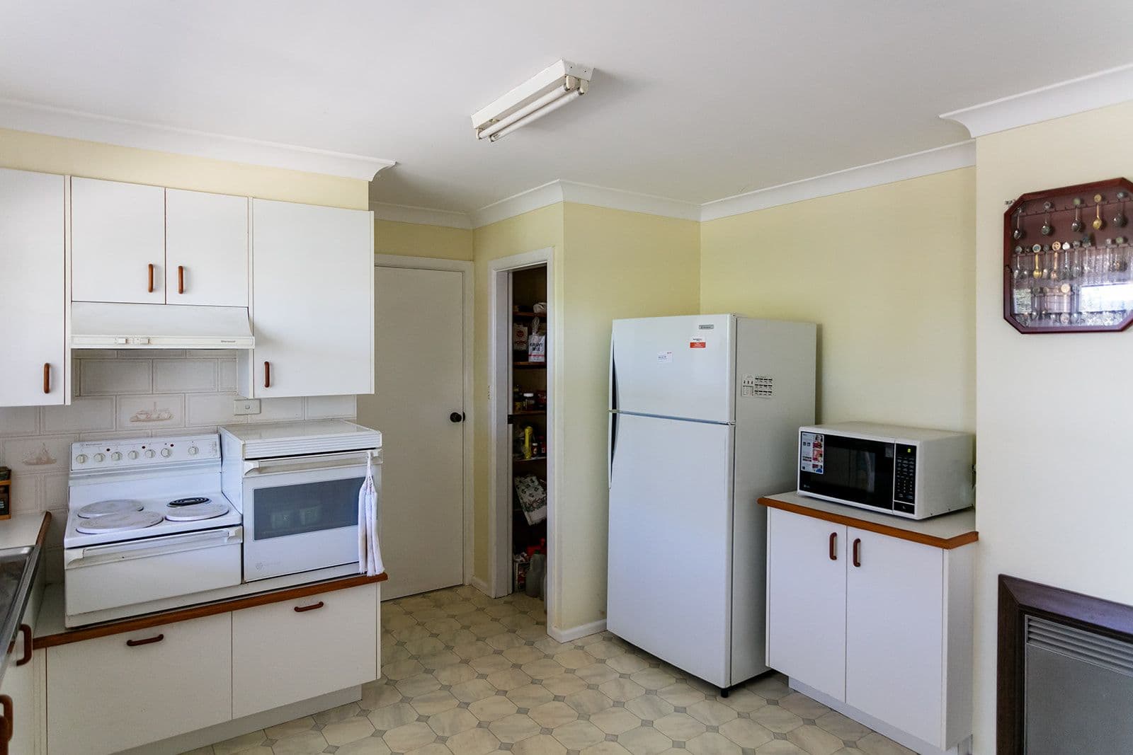 13 Courallie Drive, Orange - Thumbnail 4