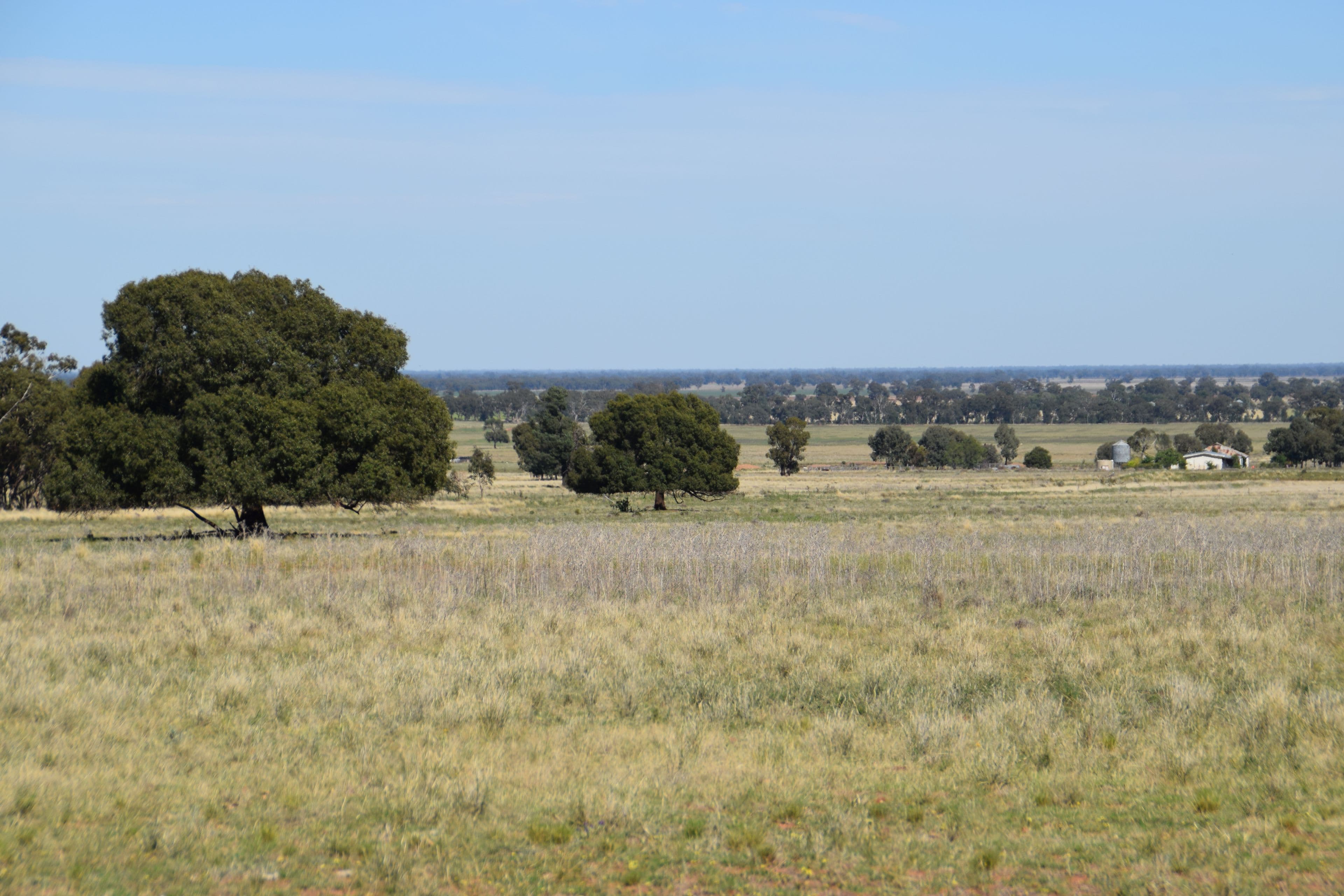 'Leawarra' Tomingley Road, Narromine NSW 2821, Narromine - Thumbnail 2