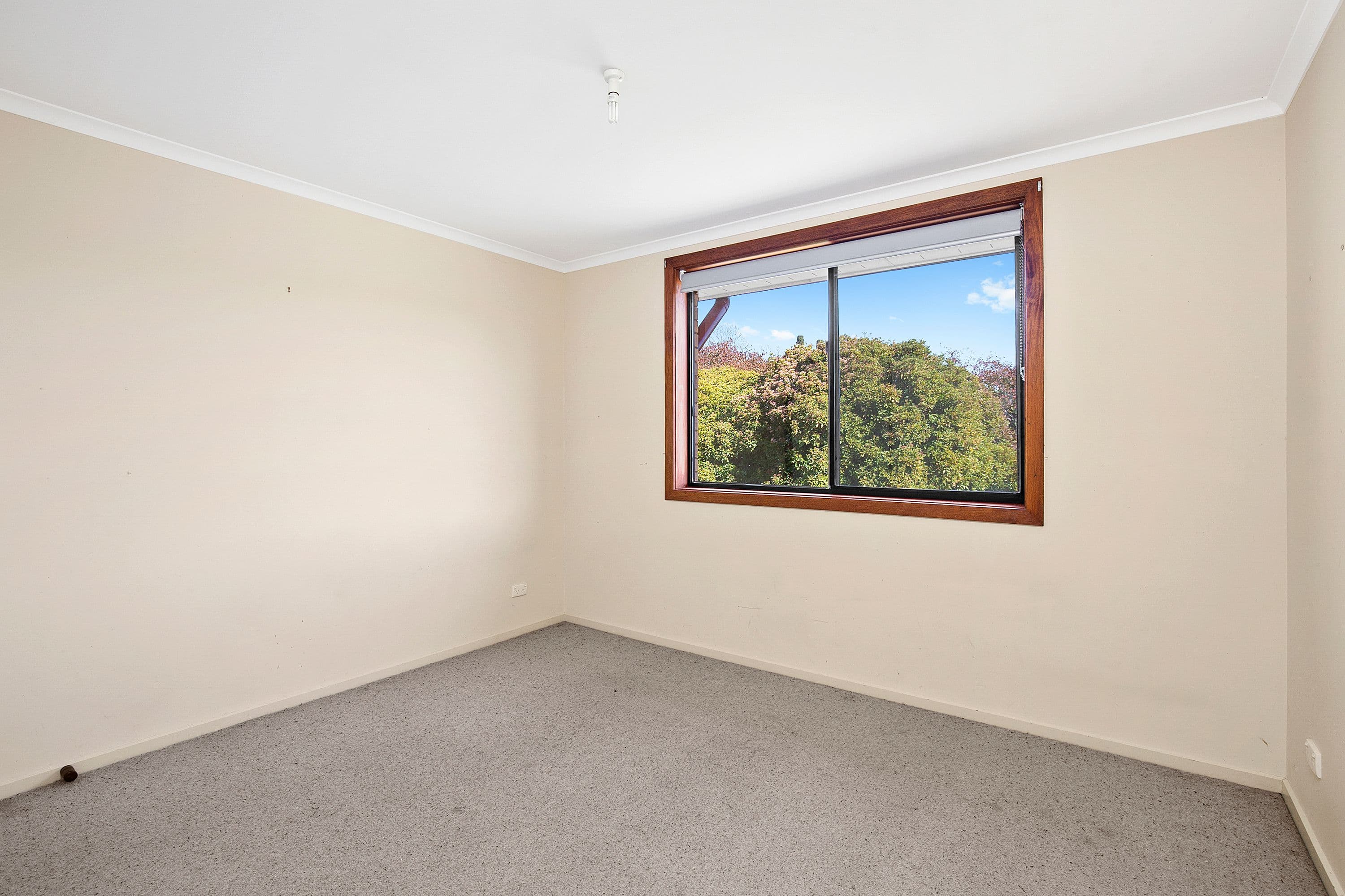 8 Mckellar Street, Braidwood - Thumbnail 3