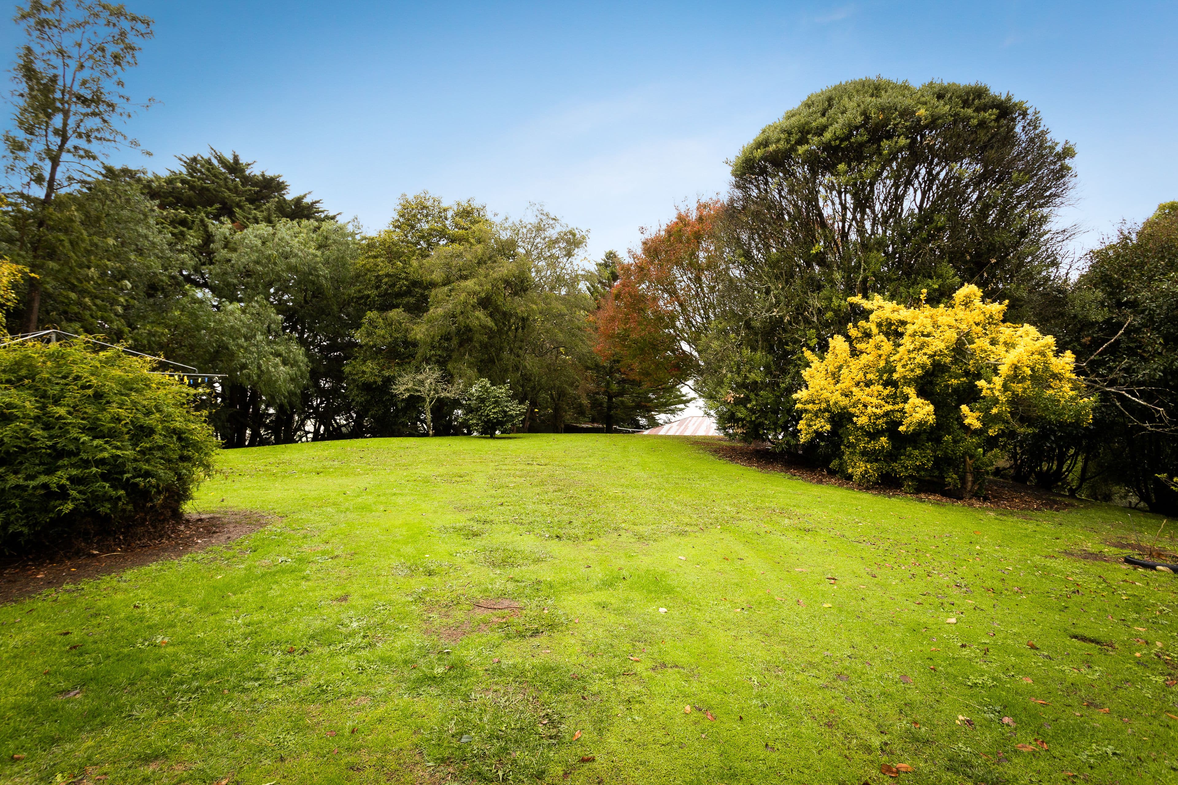 110 Rowes Road, Ranceby VIC 3951, Ranceby - Thumbnail 6