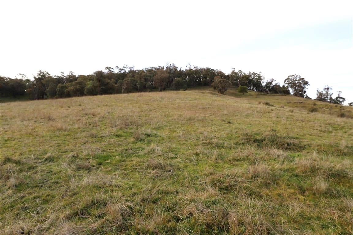 837 Argalong Road, Argalong NSW 2720, Argalong - Thumbnail 5